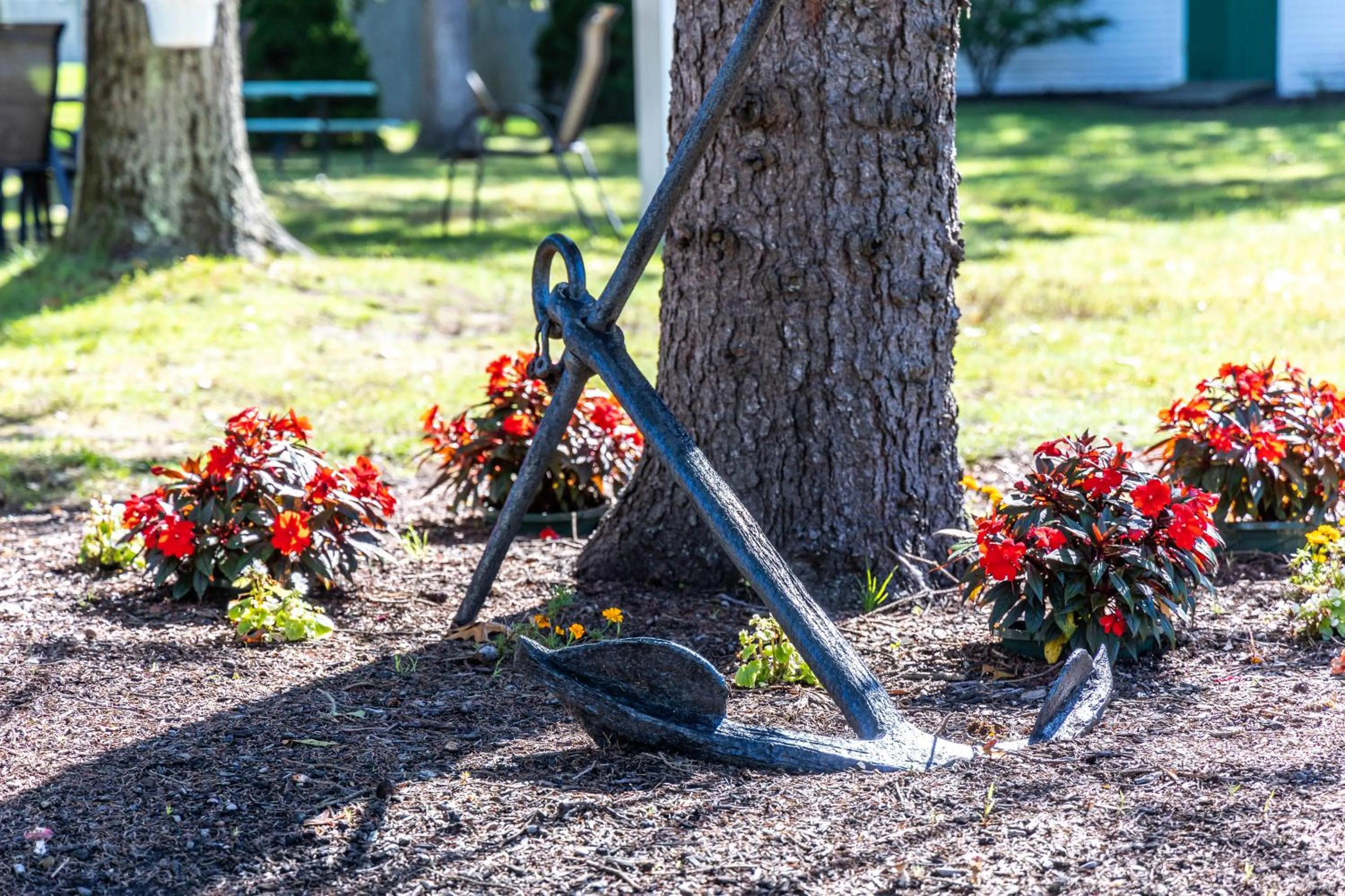 Natural landscape in Falmouth Heights Motor Lodge