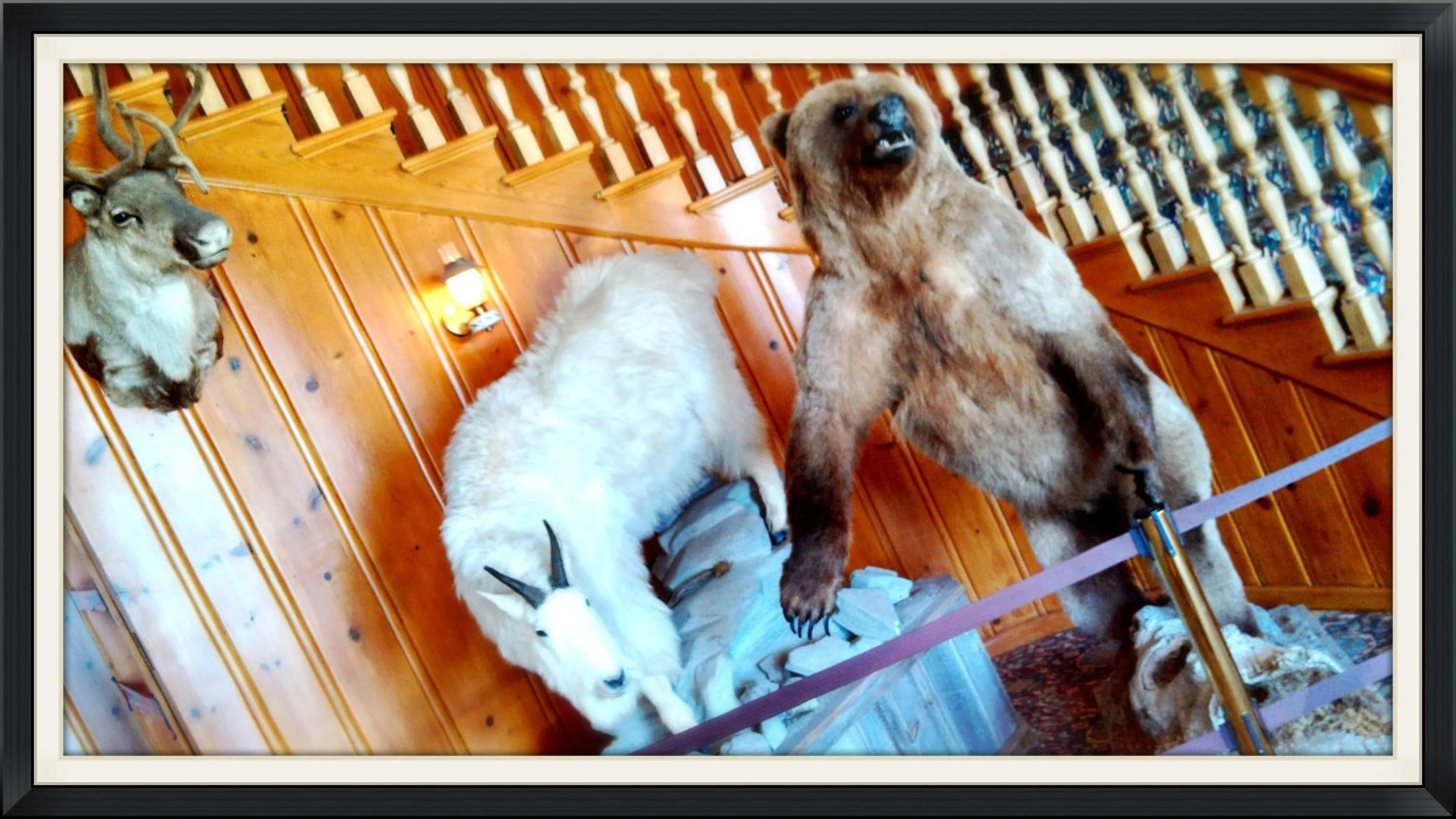 Lobby or reception in Stage Coach Inn