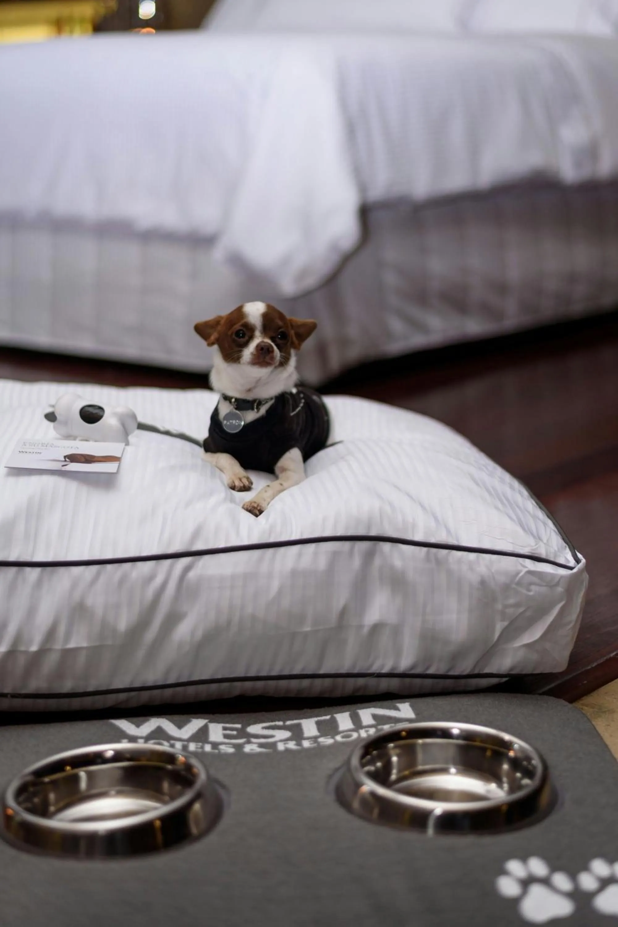 Other, Bed in The Westin Lima Hotel & Convention Center