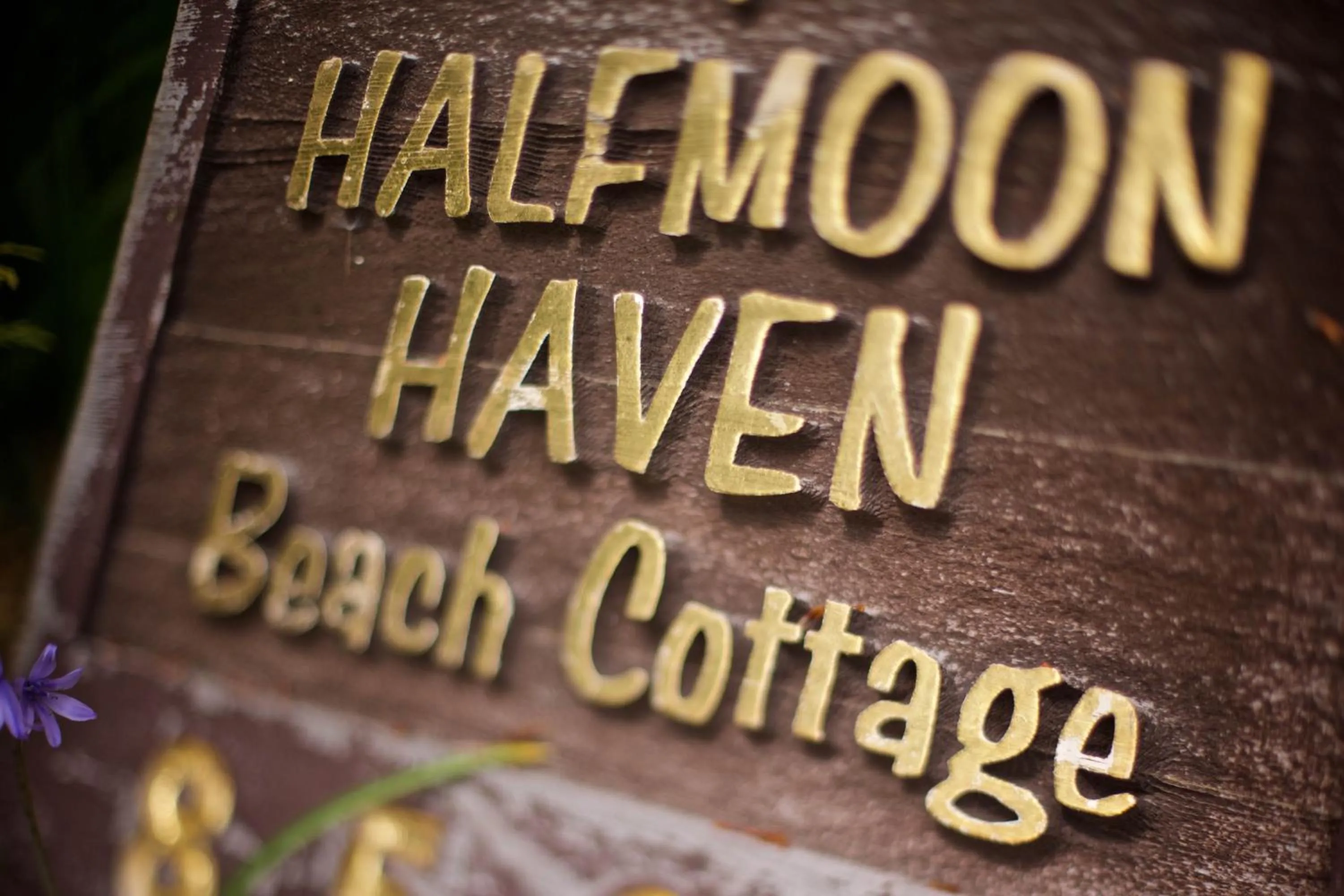 Halfmoon Haven Beach Cottage or Oceanview Suite