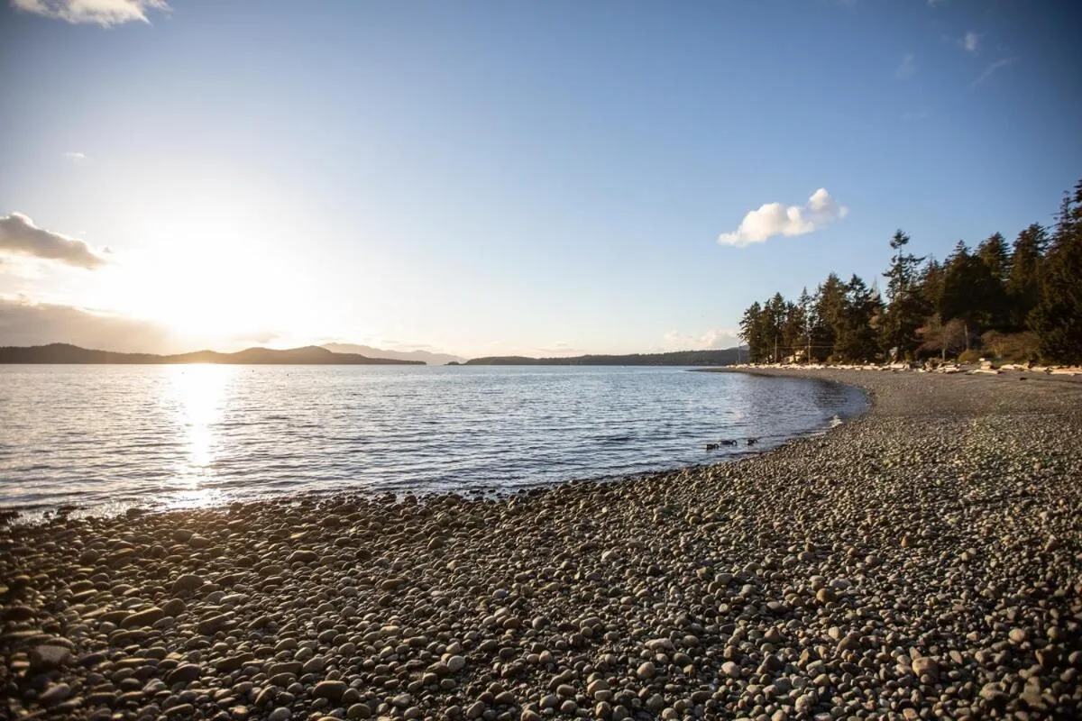 Halfmoon Haven Beach Cottage or Oceanview Suite