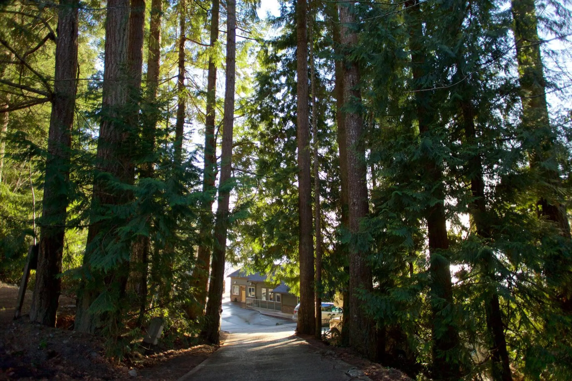 Halfmoon Haven Beach Cottage or Oceanview Suite