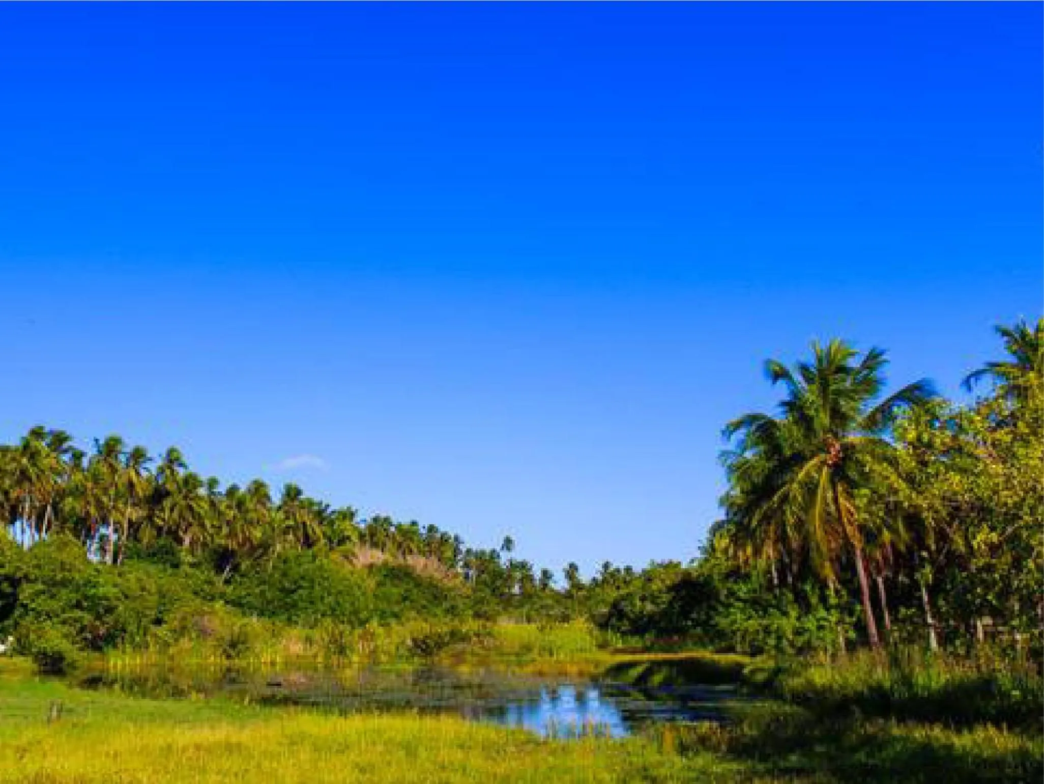 Garden in Pousada Mar de Estrelas
