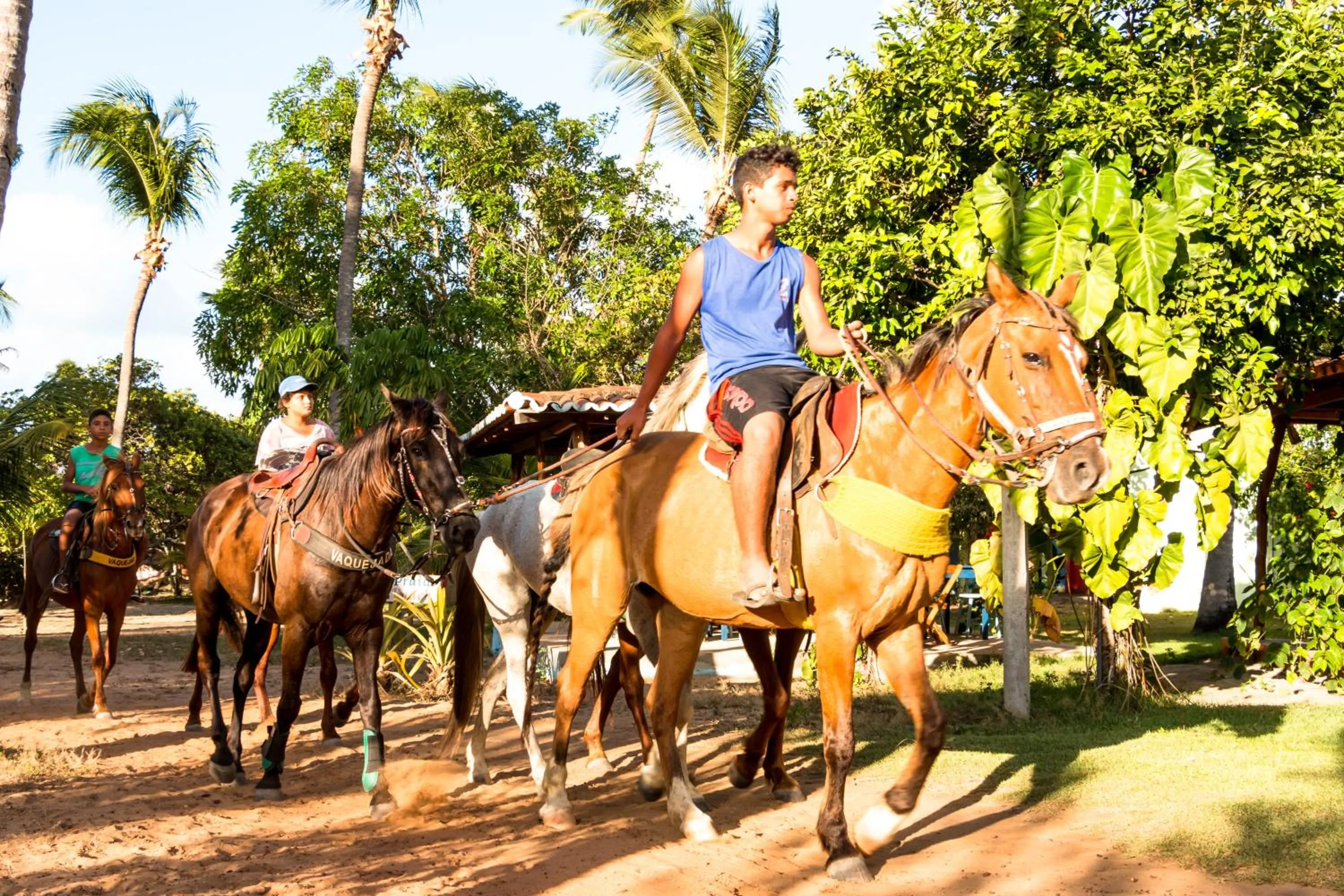 Day in Pousada Mar de Estrelas