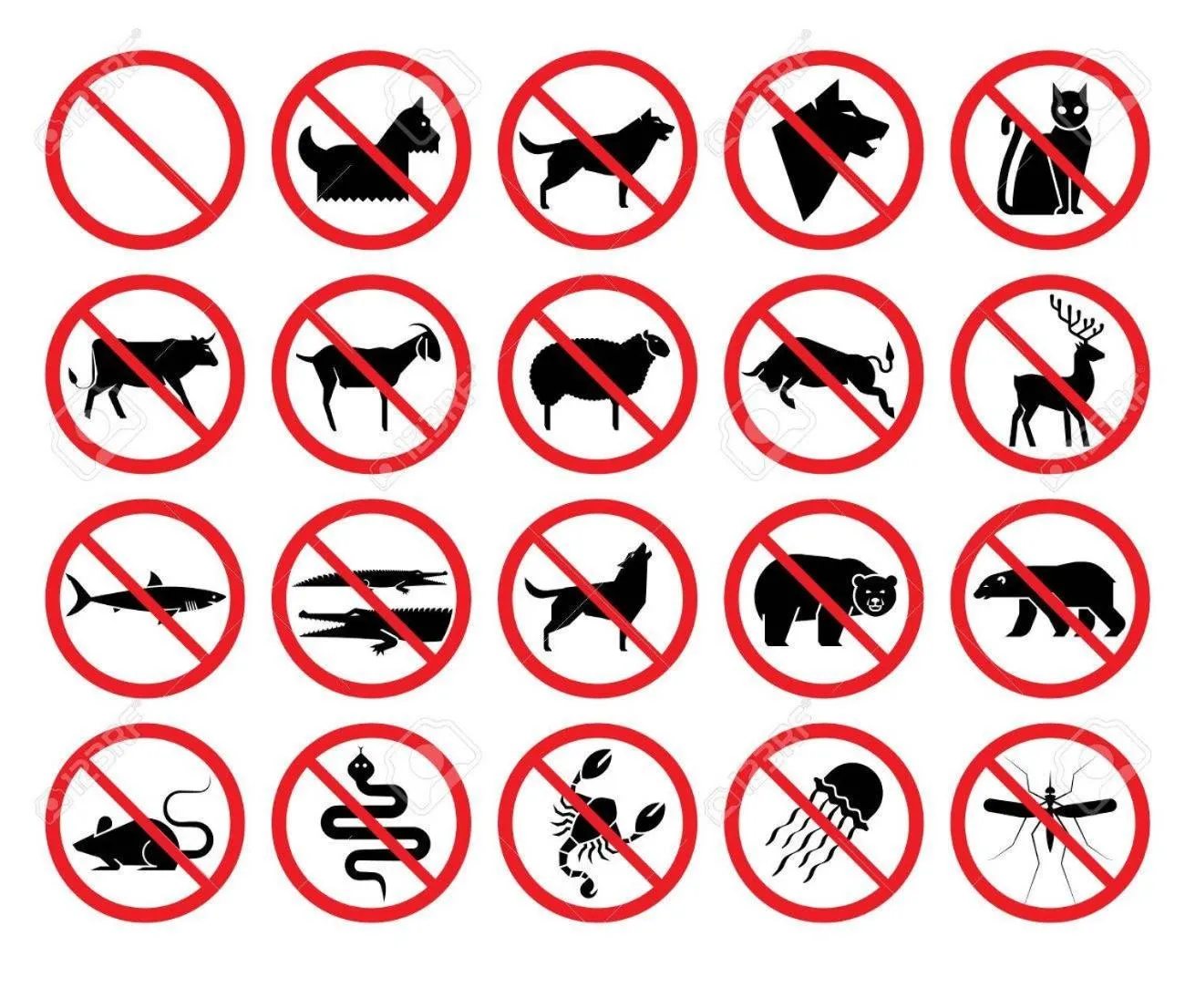 les CRAYS de LÉVIGNY