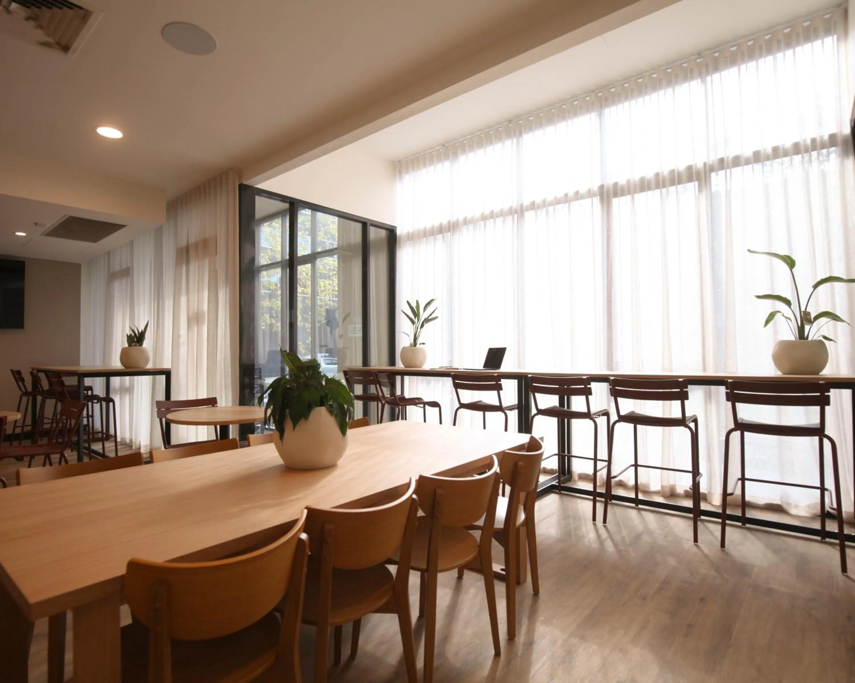 Little Drifter Canberra