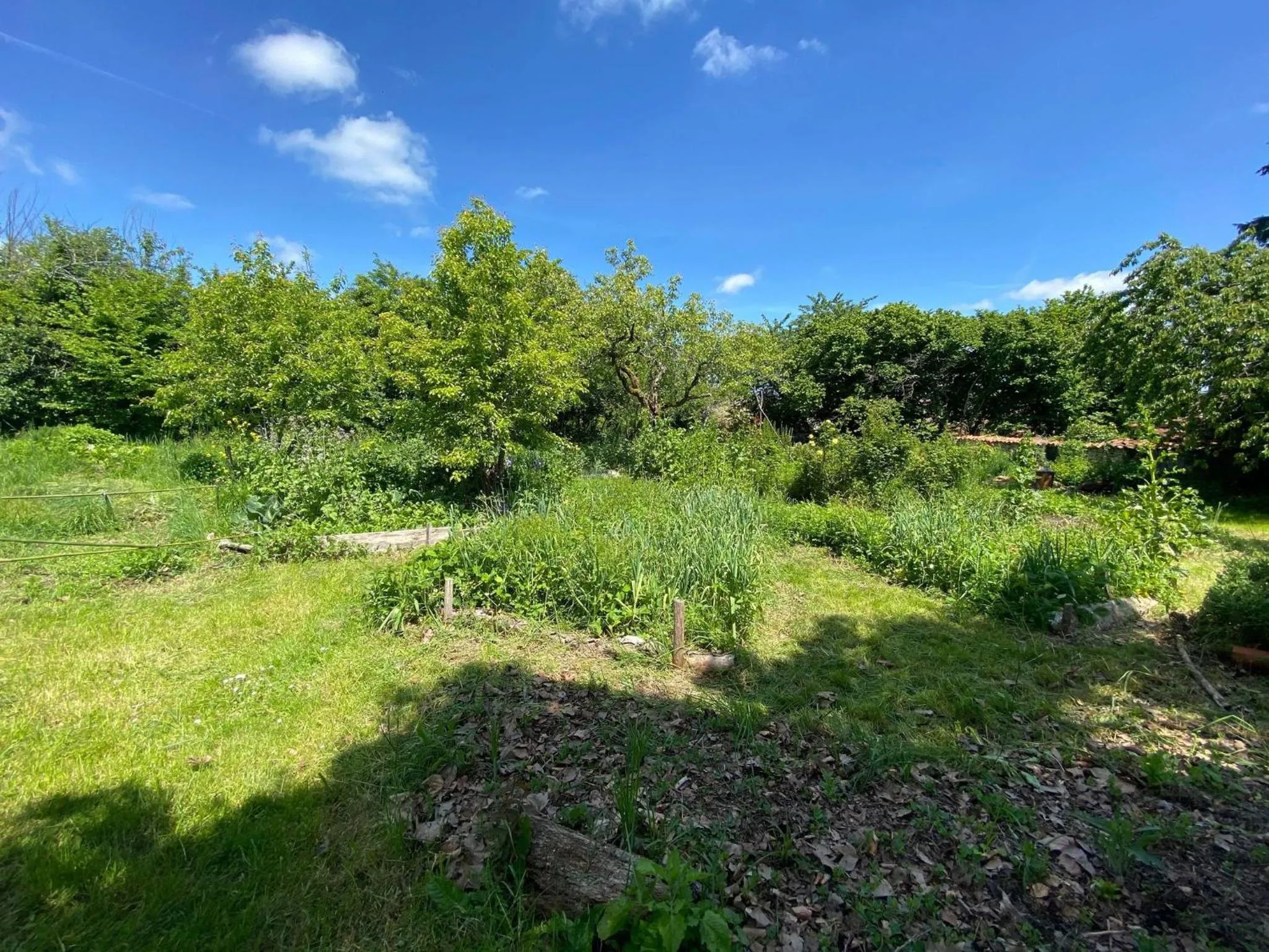 Natural landscape in Eco Logis de Chantegrolle