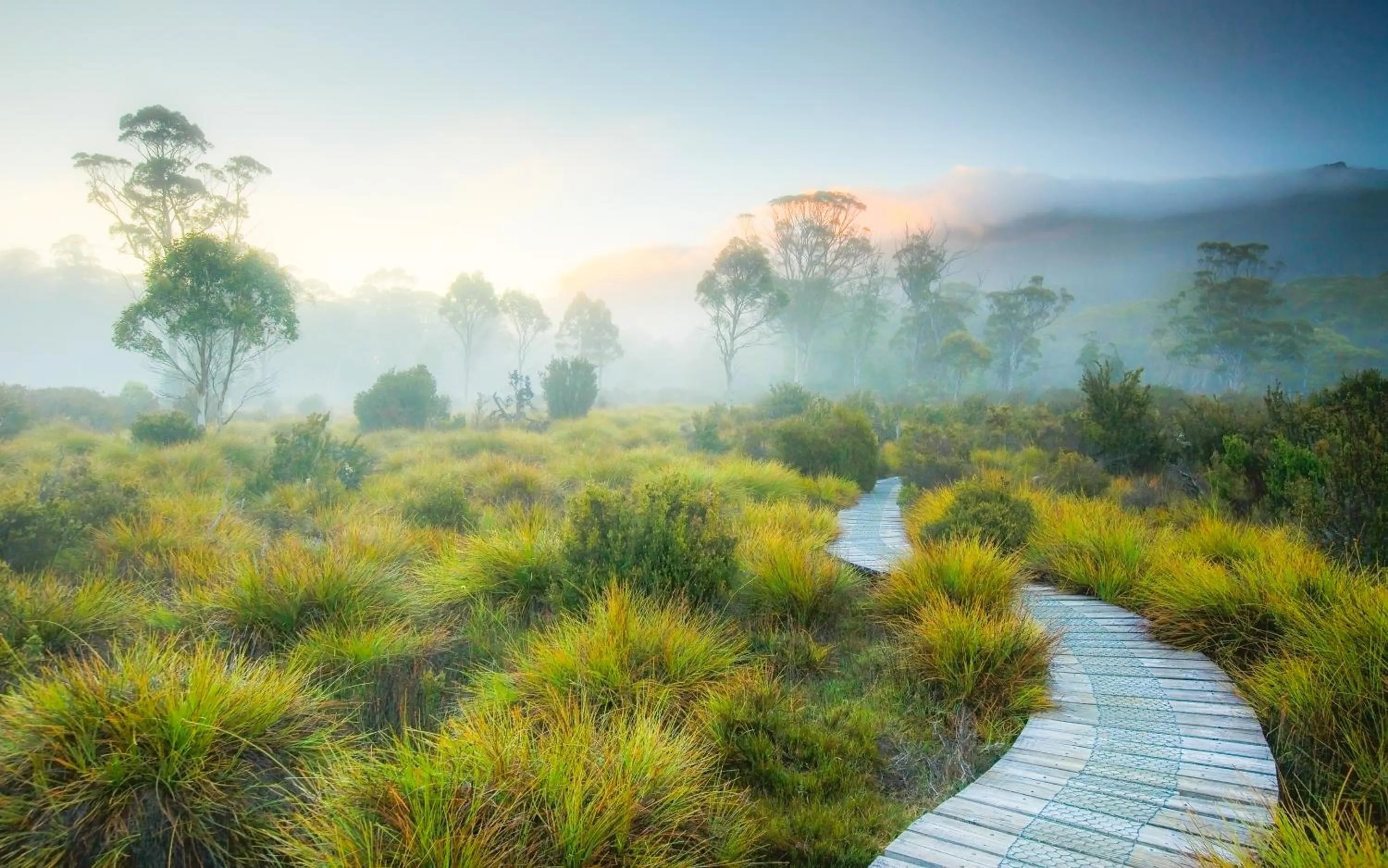 Natural landscape in Lake St Clair Lodge
