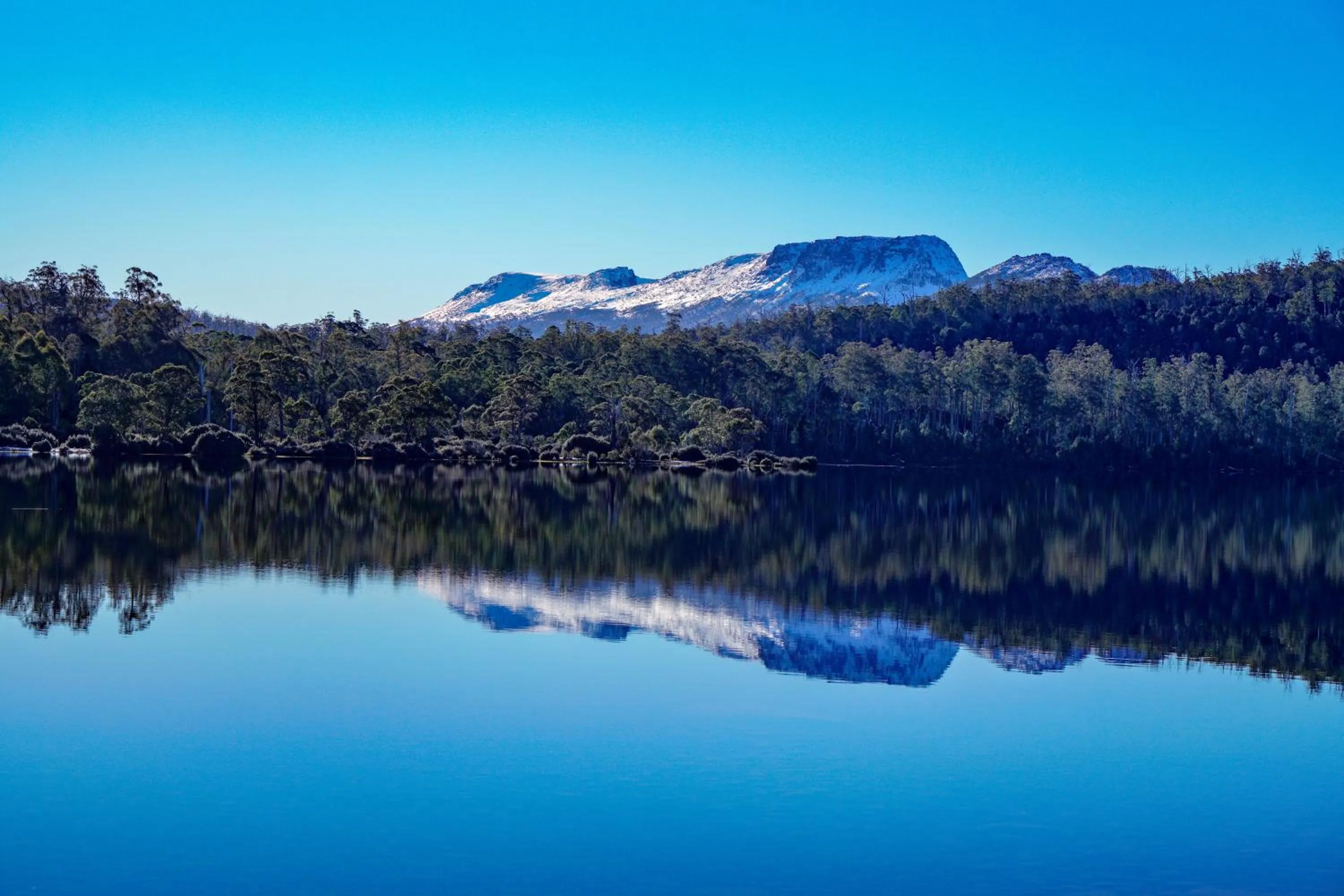 Natural landscape in Lake St Clair Lodge