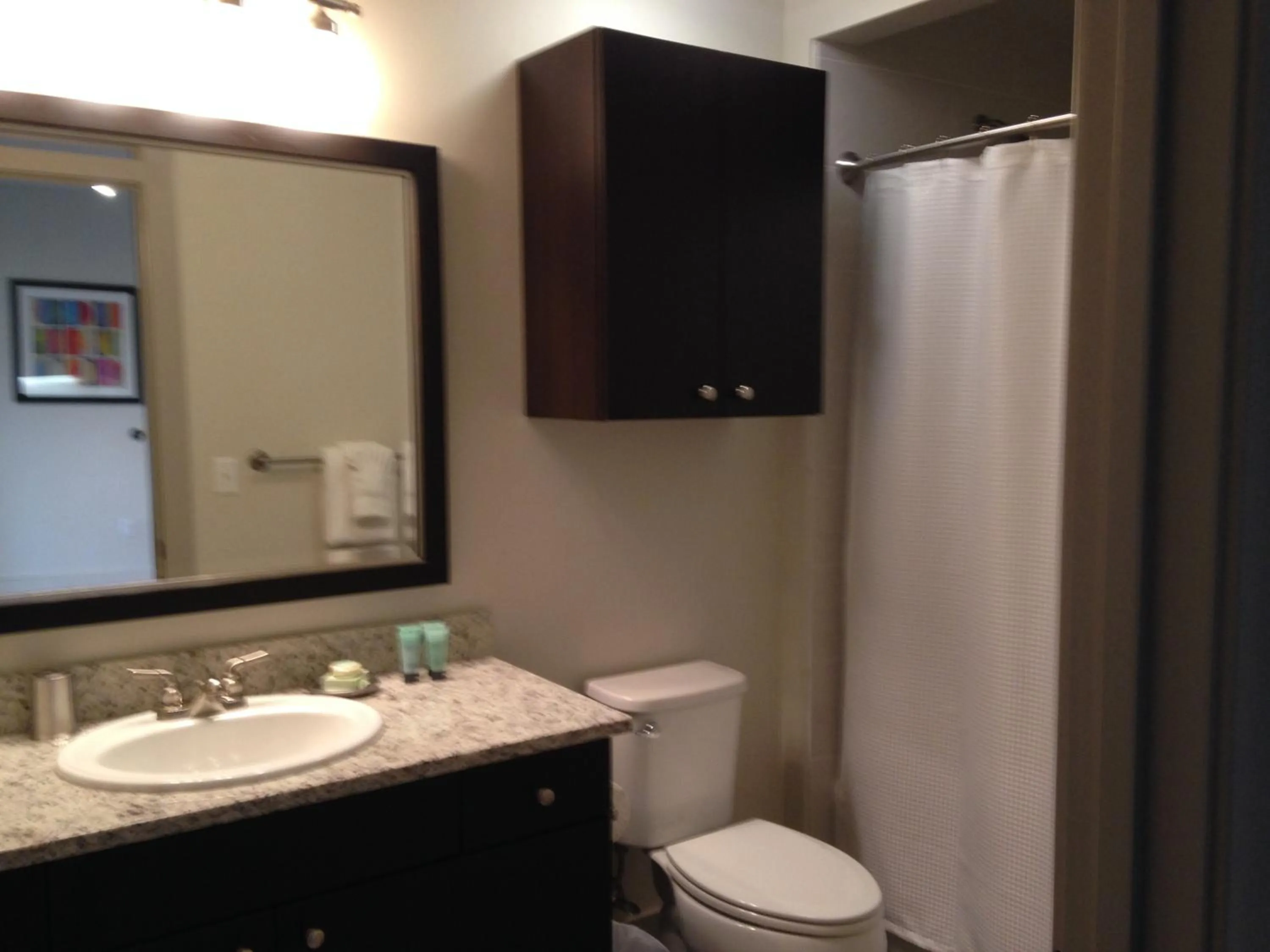 Living room in National at Tysons Corner