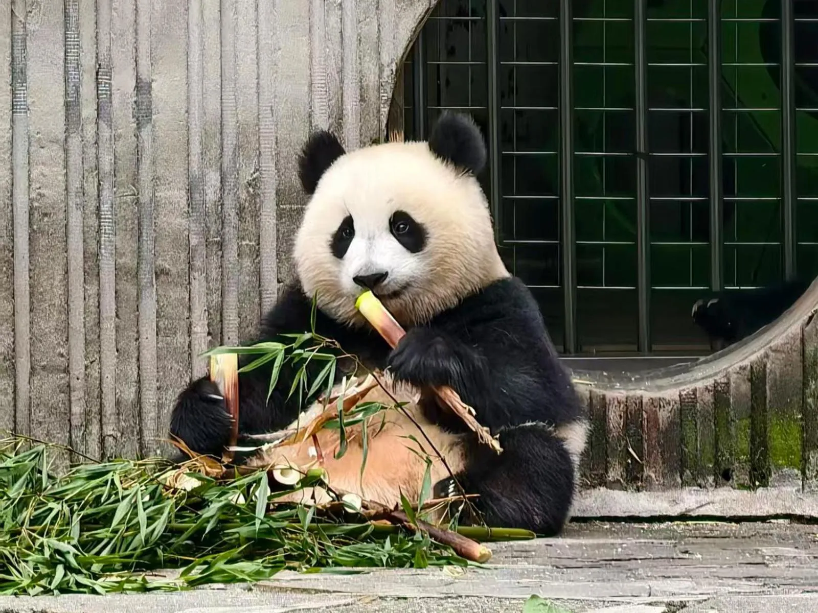 Holiday Inn Express Chengdu Gulou