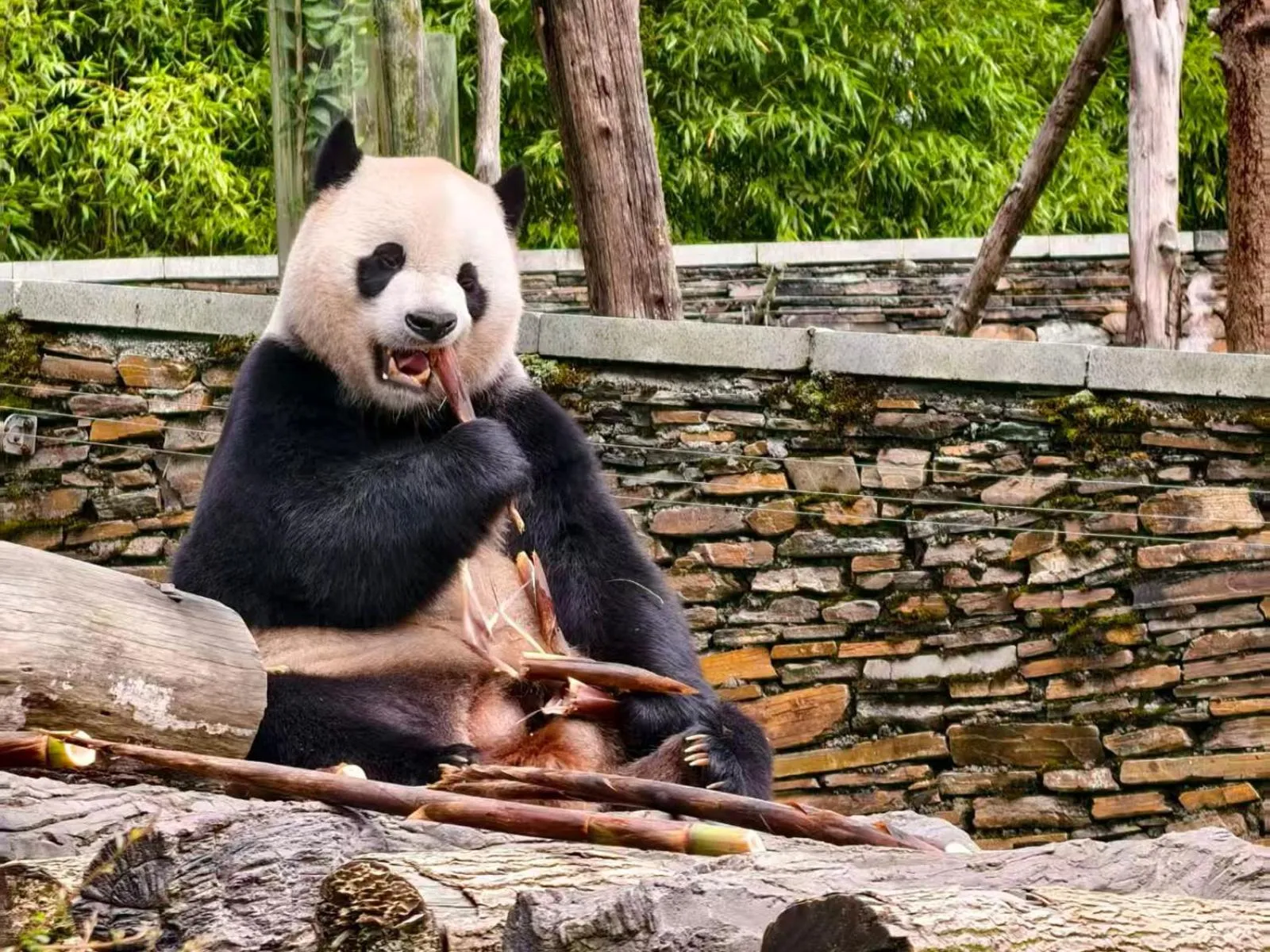 Holiday Inn Express Chengdu Gulou