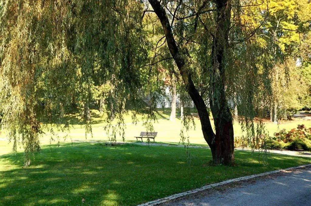 Garden in Dwór Sanna