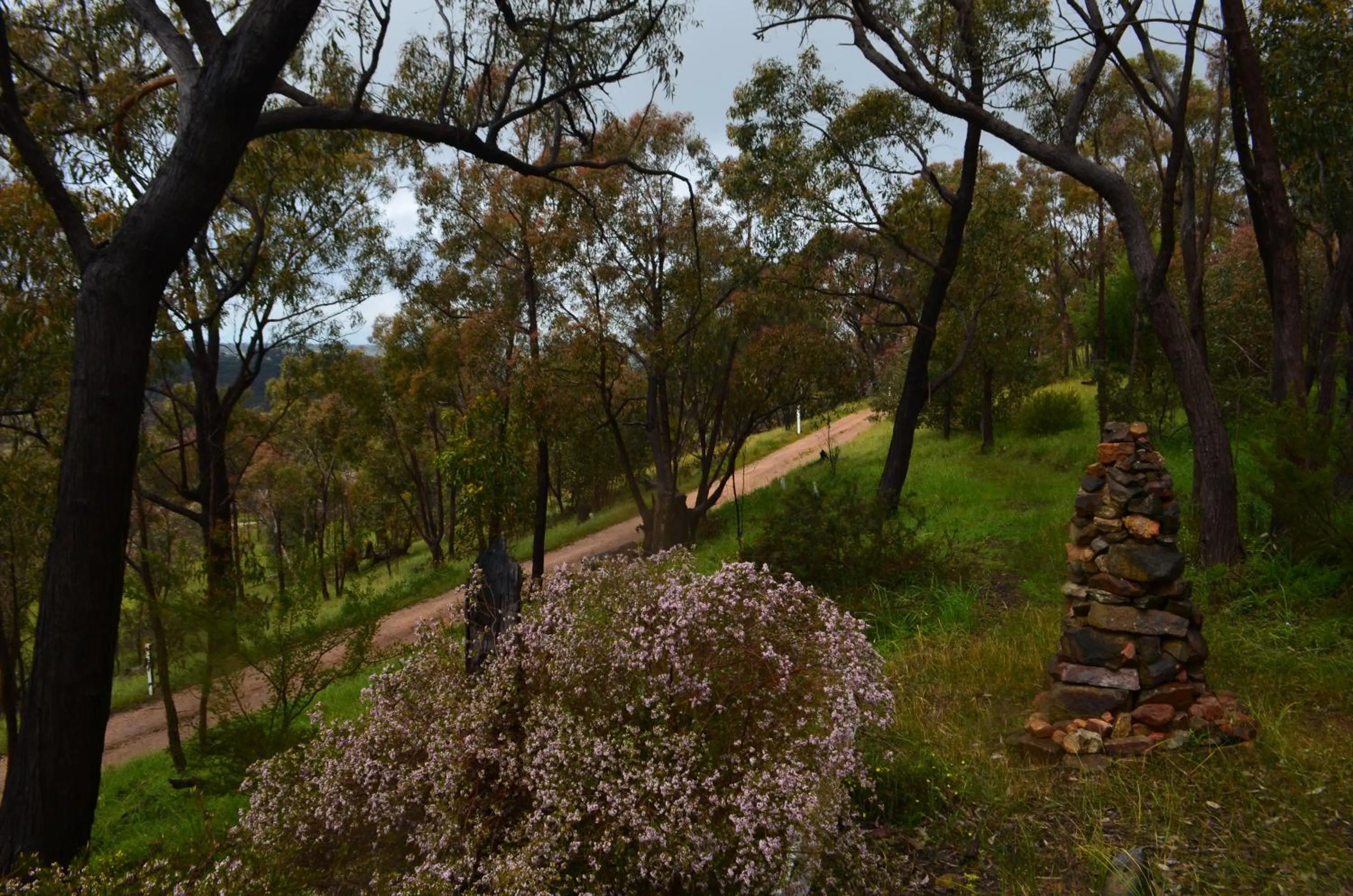 Natural landscape in Trestrail Cottage Accommodation