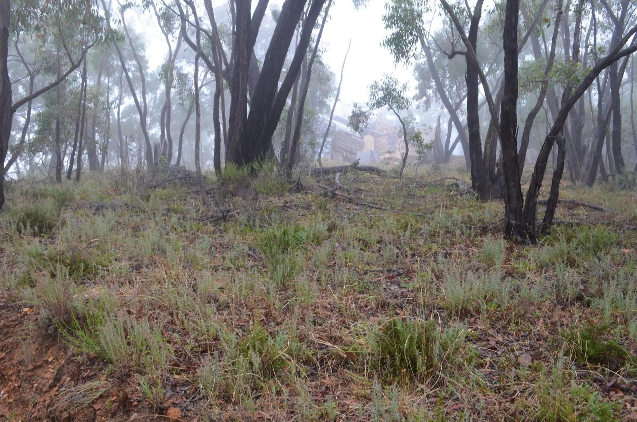 Property building in Trestrail Cottage Accommodation