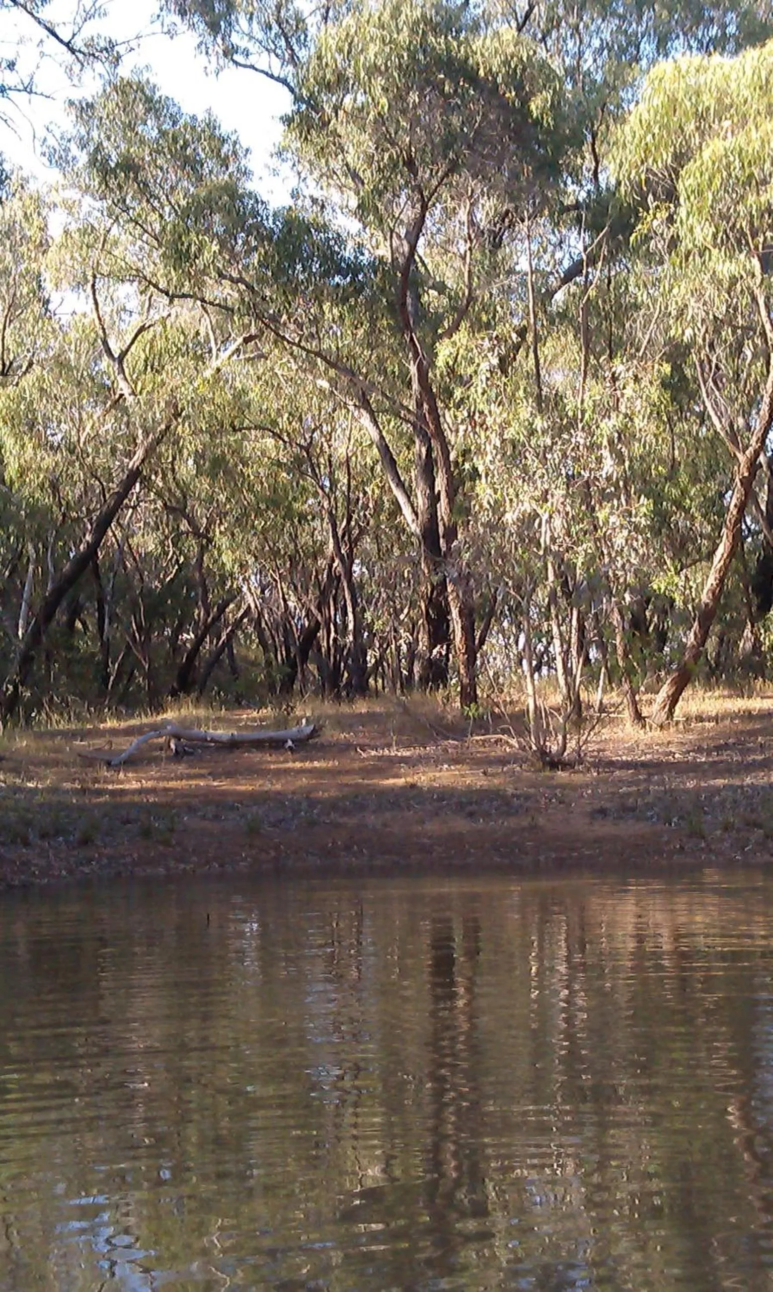 Hiking in Trestrail Cottage Accommodation