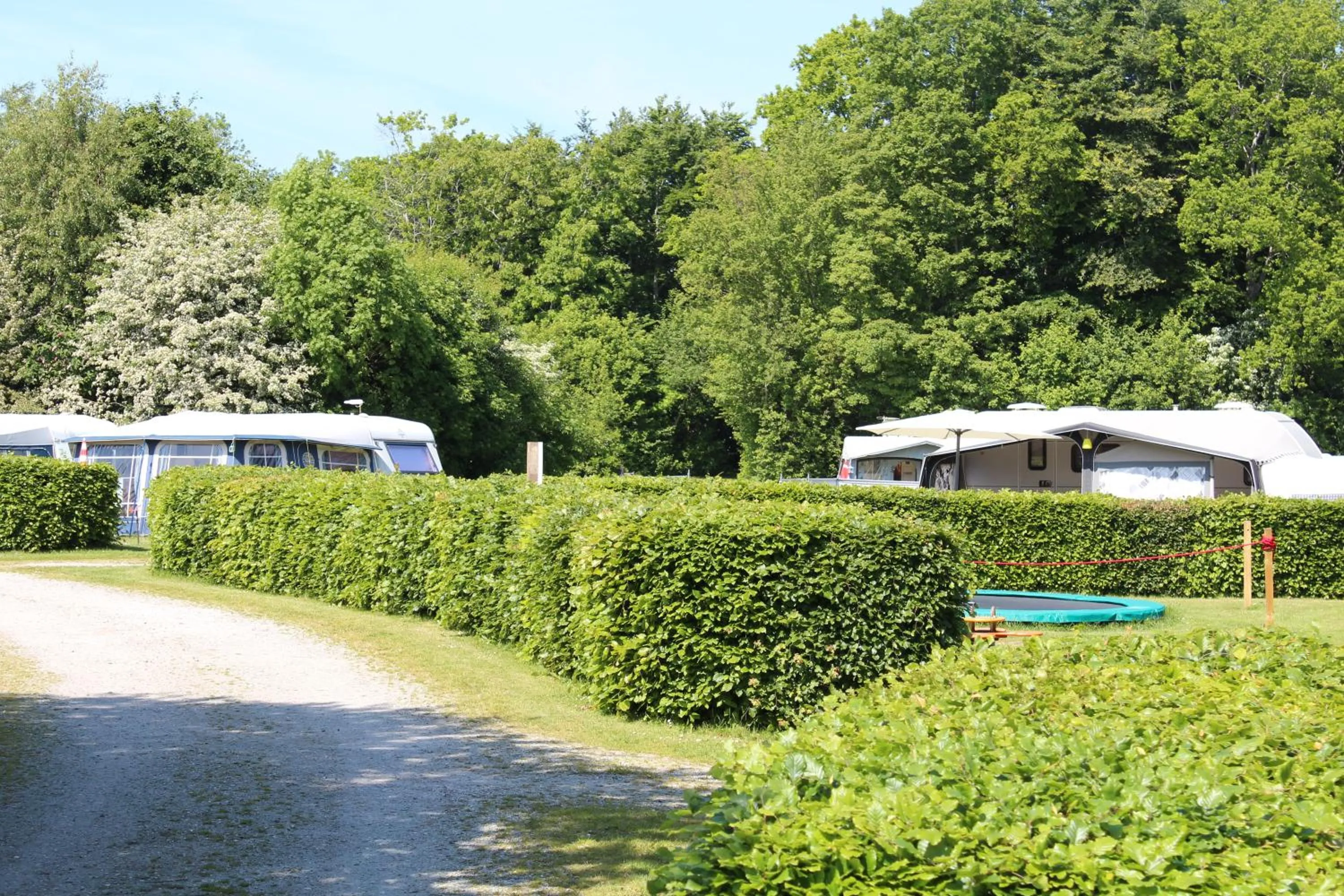 Natural landscape in City Camping Hjørring