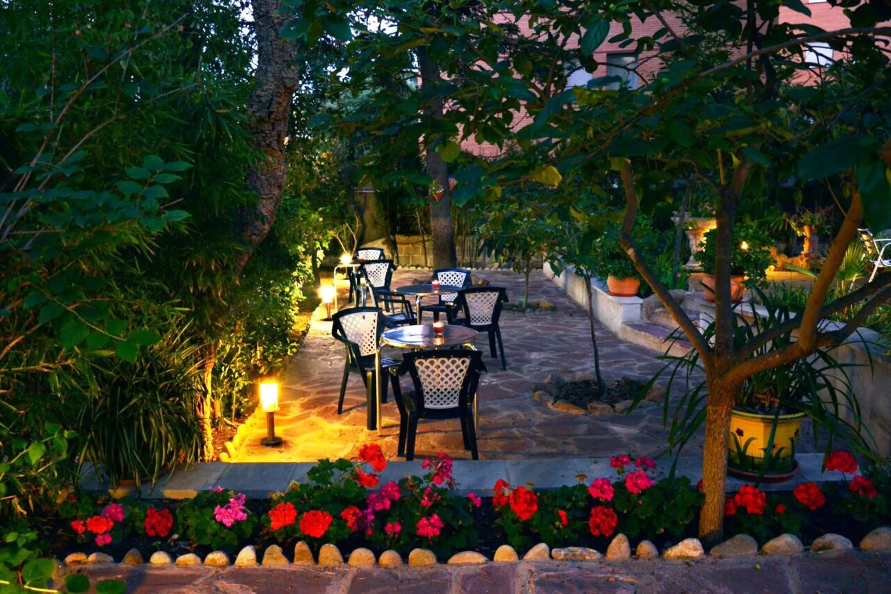 Garden in Hostal Magnolia