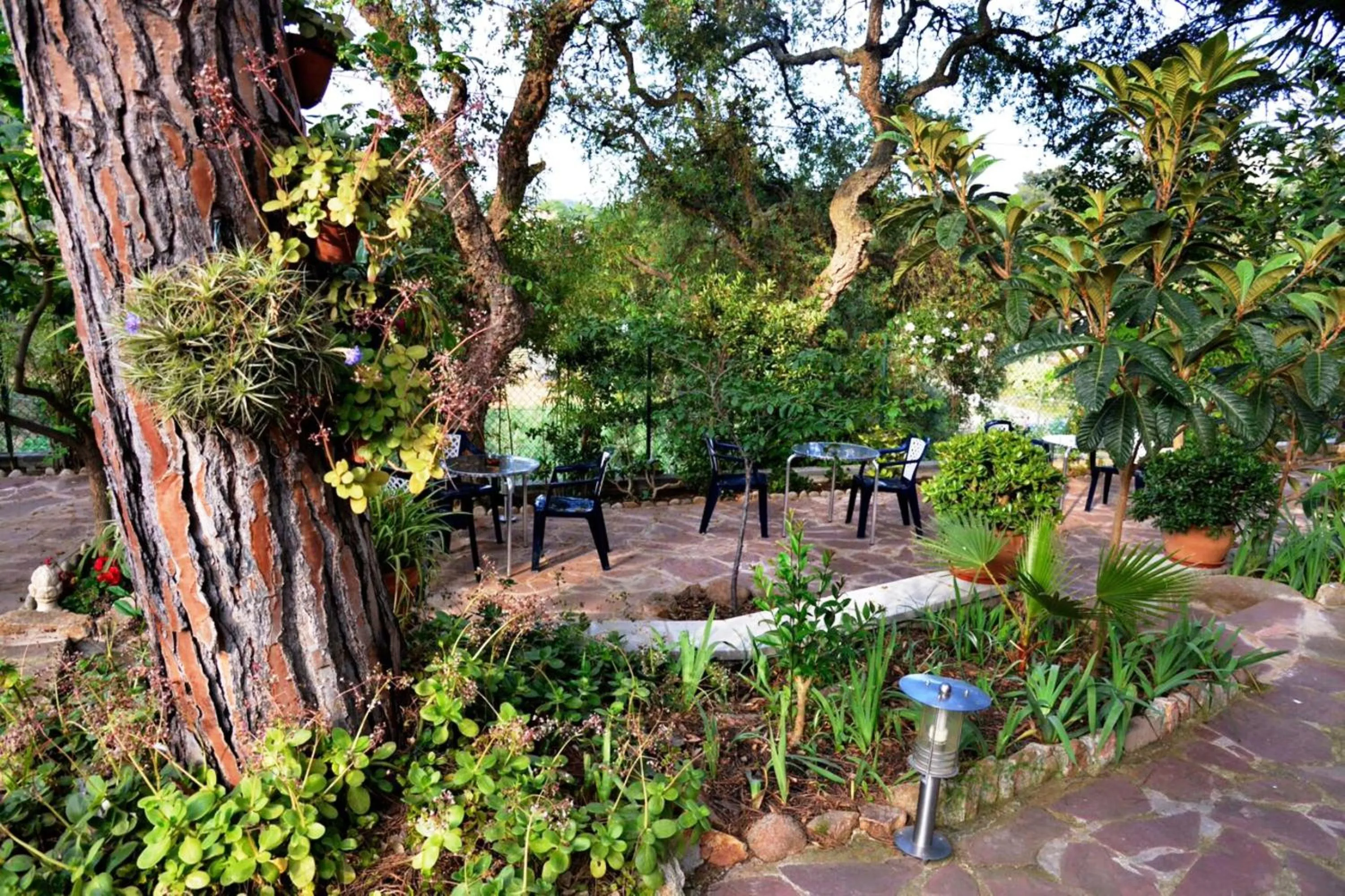 Garden in Hostal Magnolia