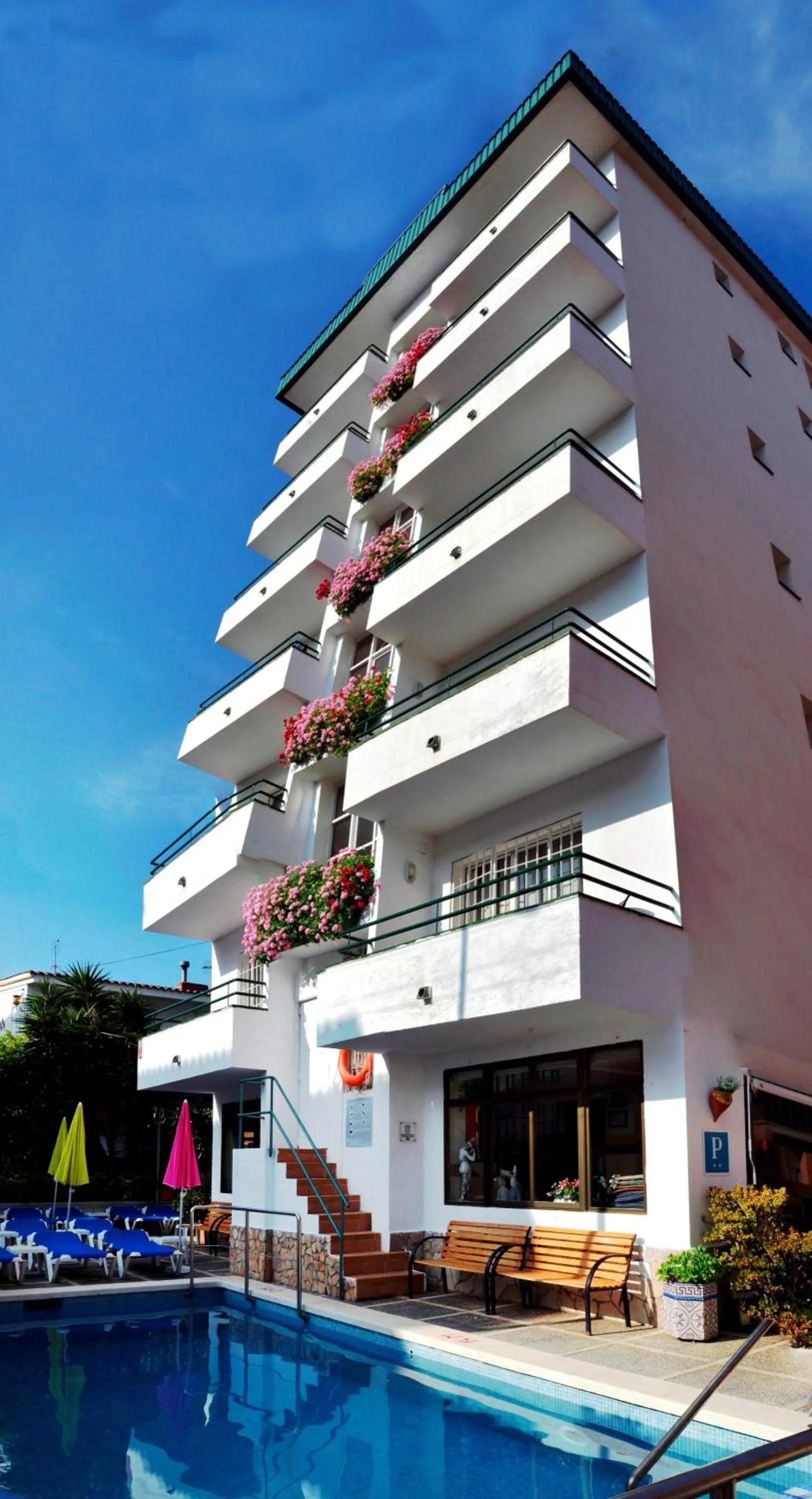 Facade/entrance in Hostal Magnolia