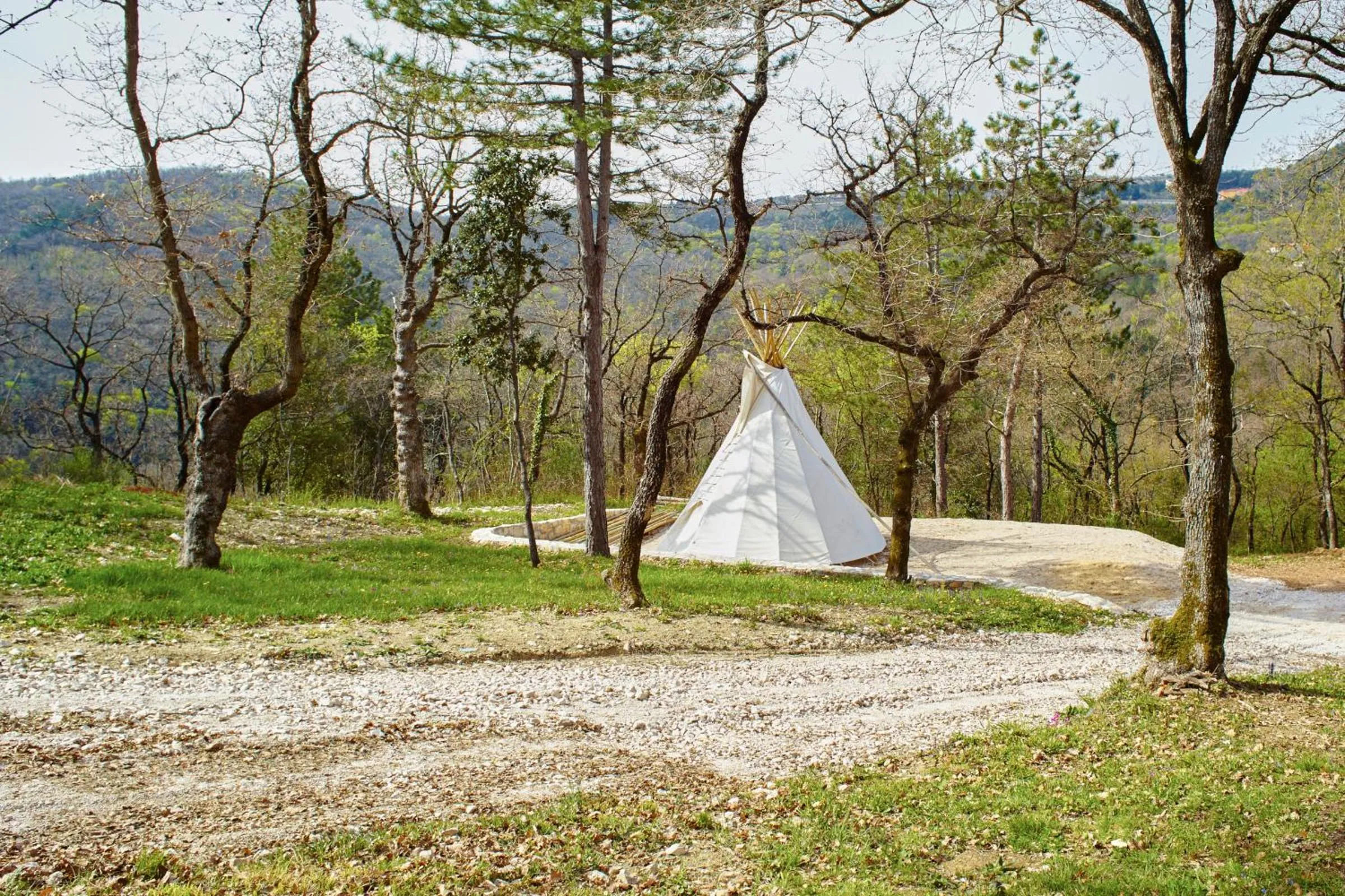 Day in Apartments Villa Venera