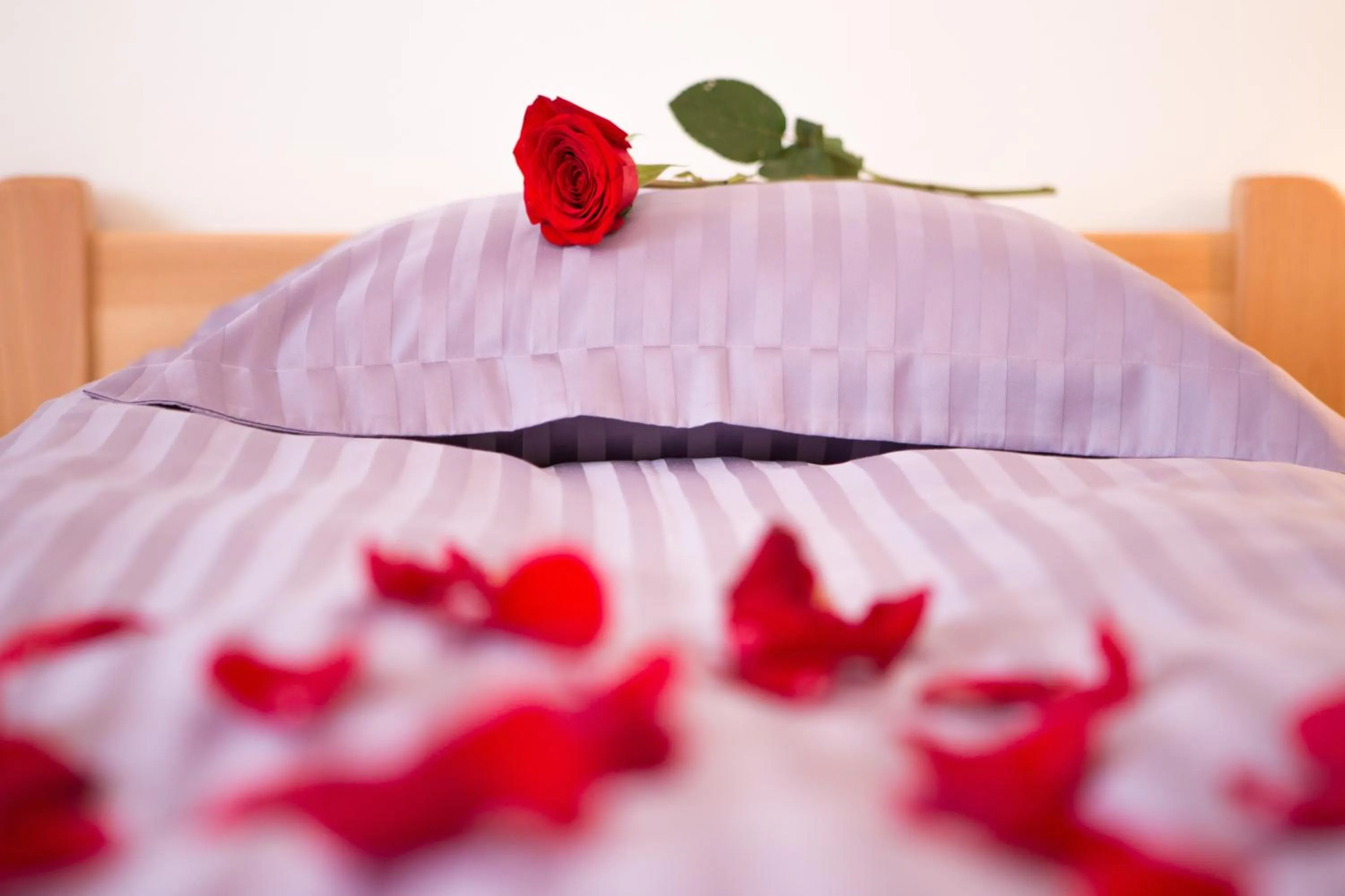 Bedroom in Apartments Villa Venera