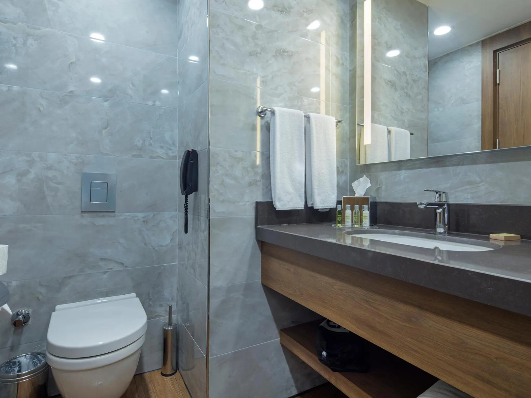 Bathroom in Hilton Garden Inn Yalova