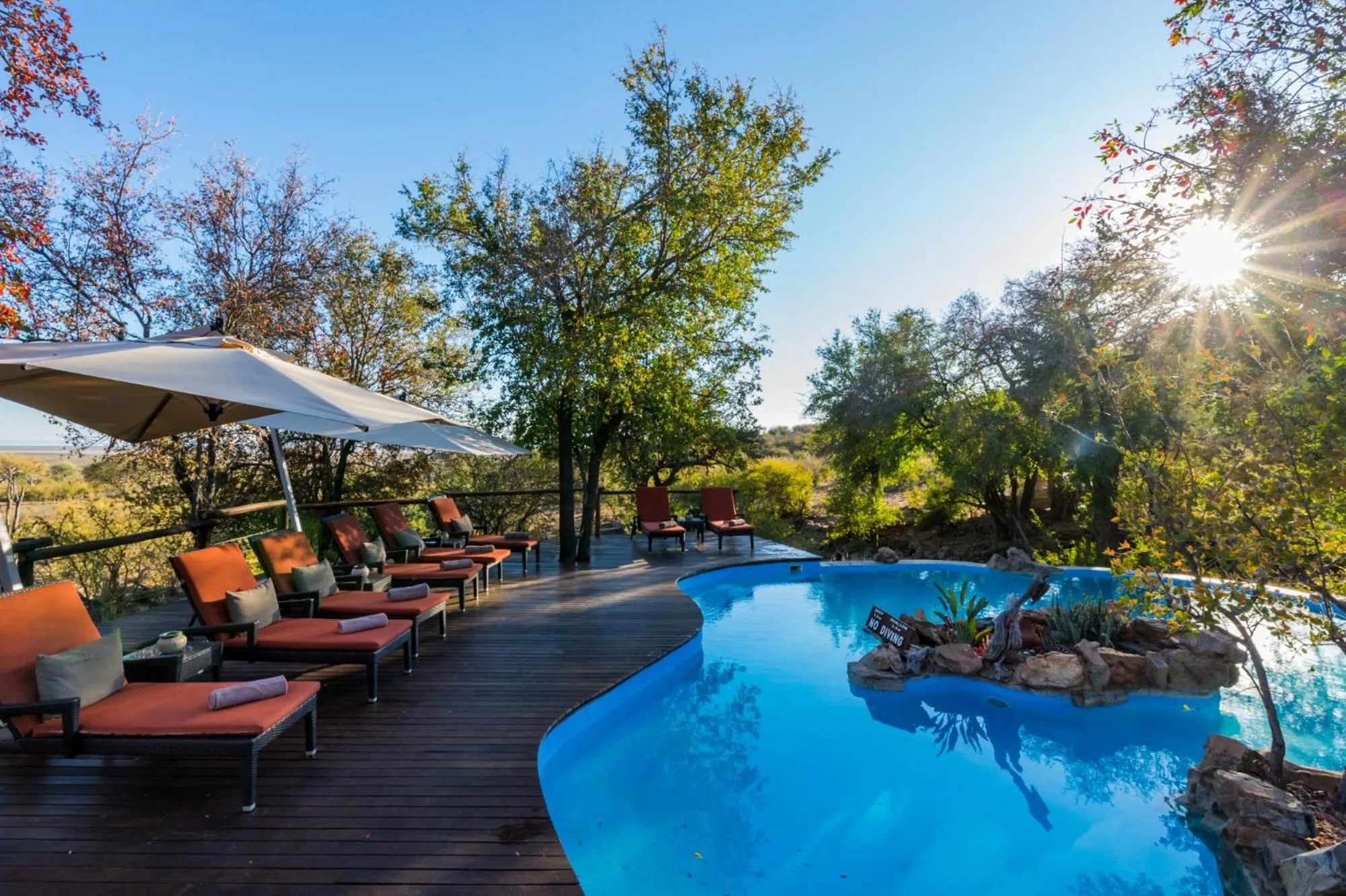 Swimming pool in Impodimo Game Lodge