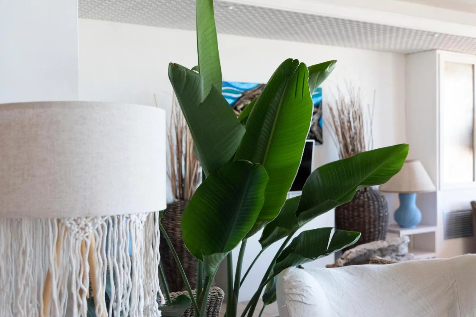 Lobby or reception in Hotel Giorgetti Orange