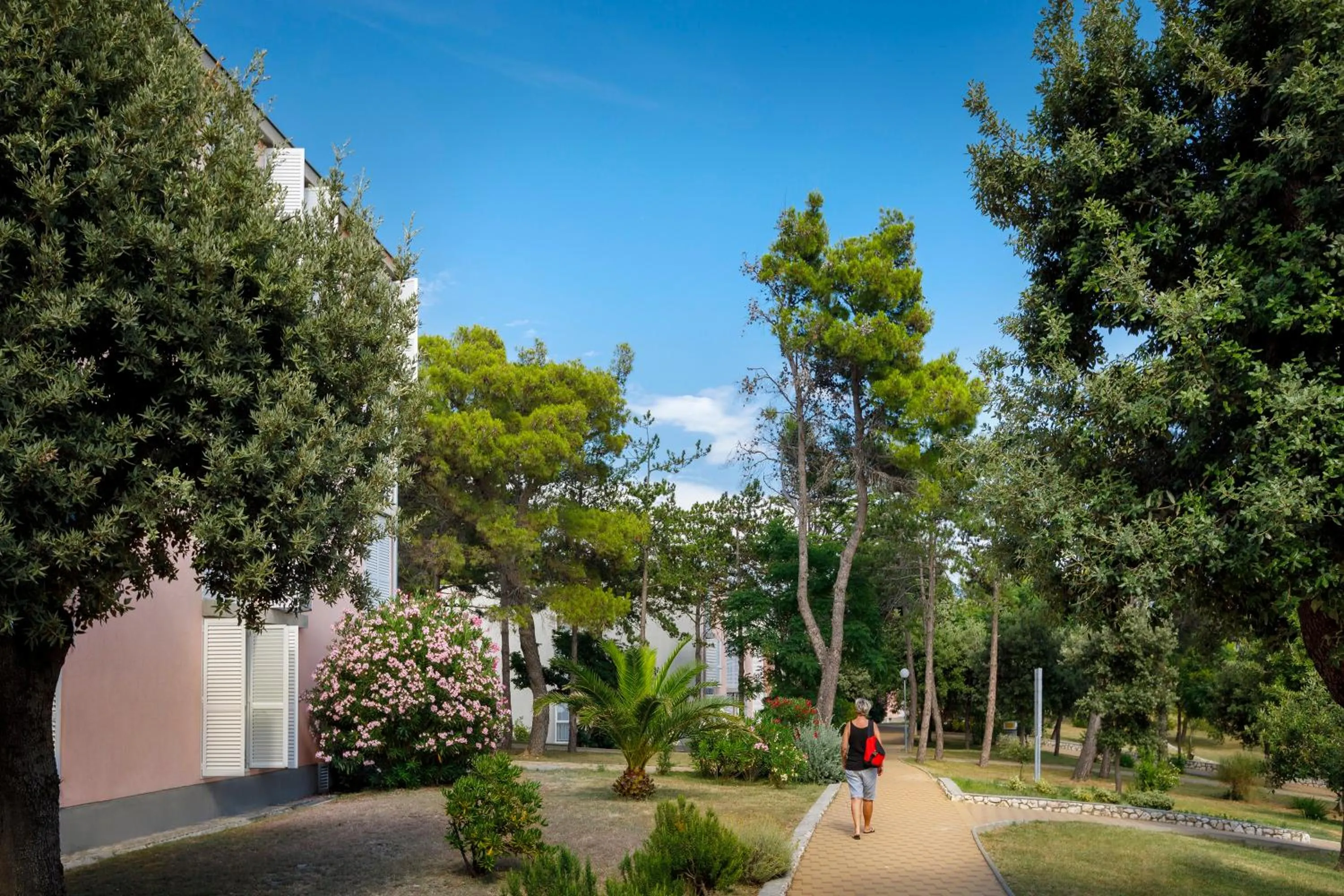 Area and facilities in San Marino Resort