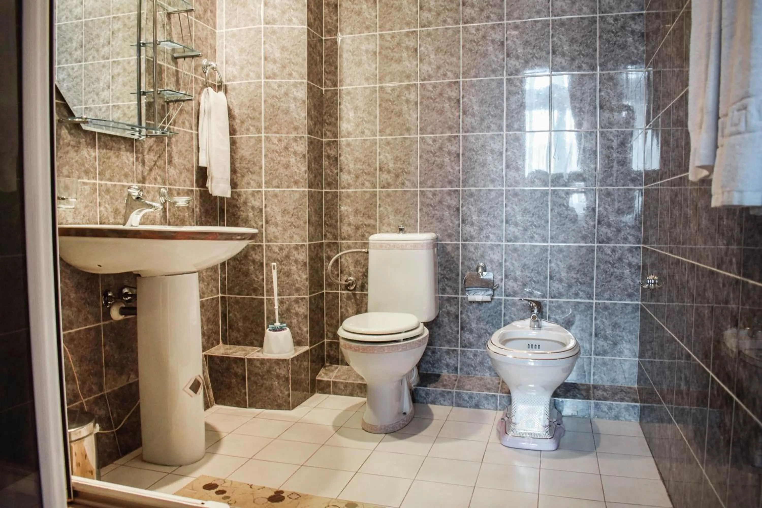 Toilet in Araks Hotel Complex