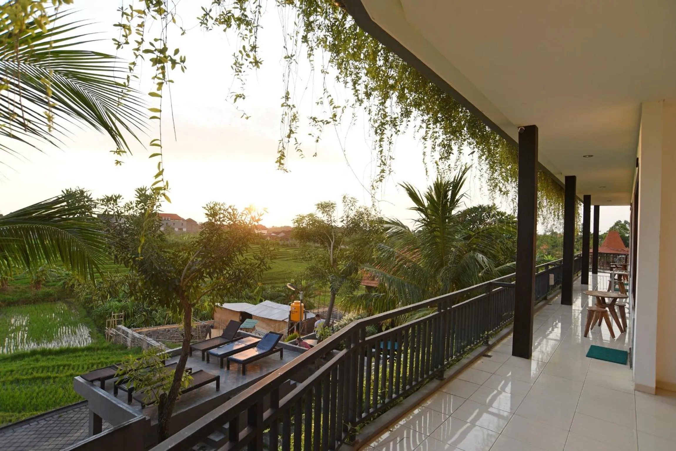 Balcony/Terrace in Grandpa Guest House