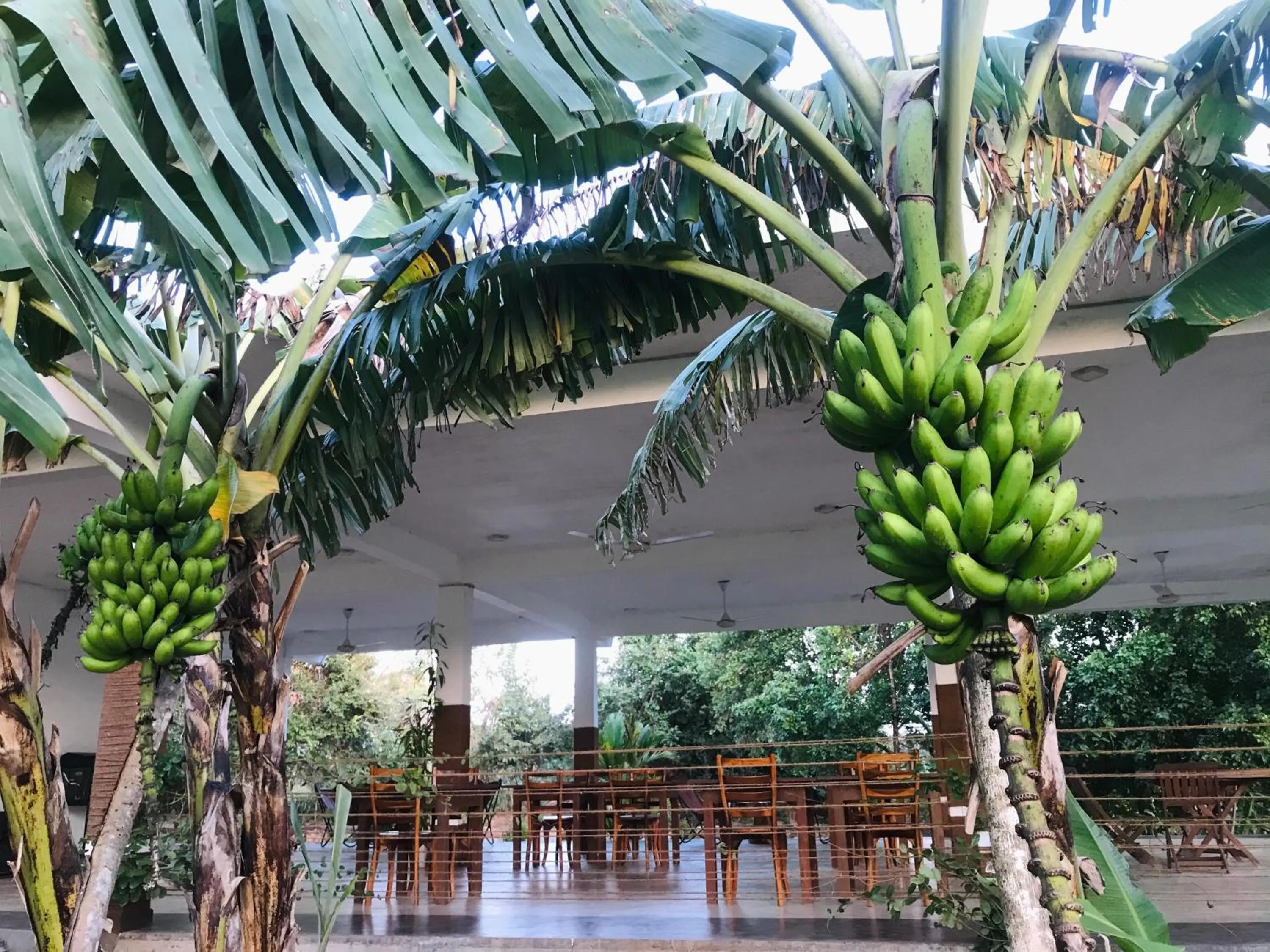 Restaurant/places to eat in Into The Wild Sigiriya