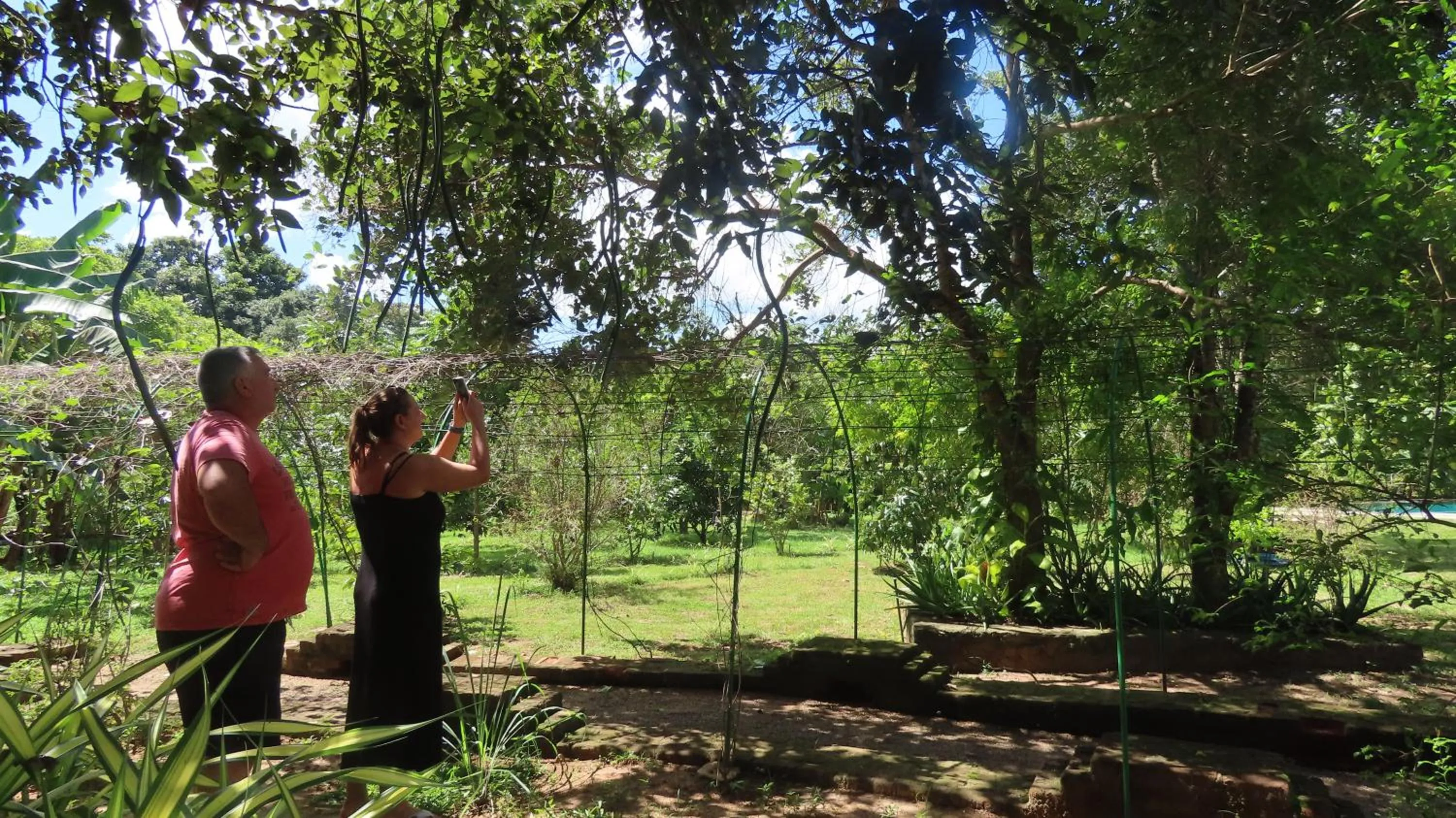 Garden view in Into The Wild Sigiriya