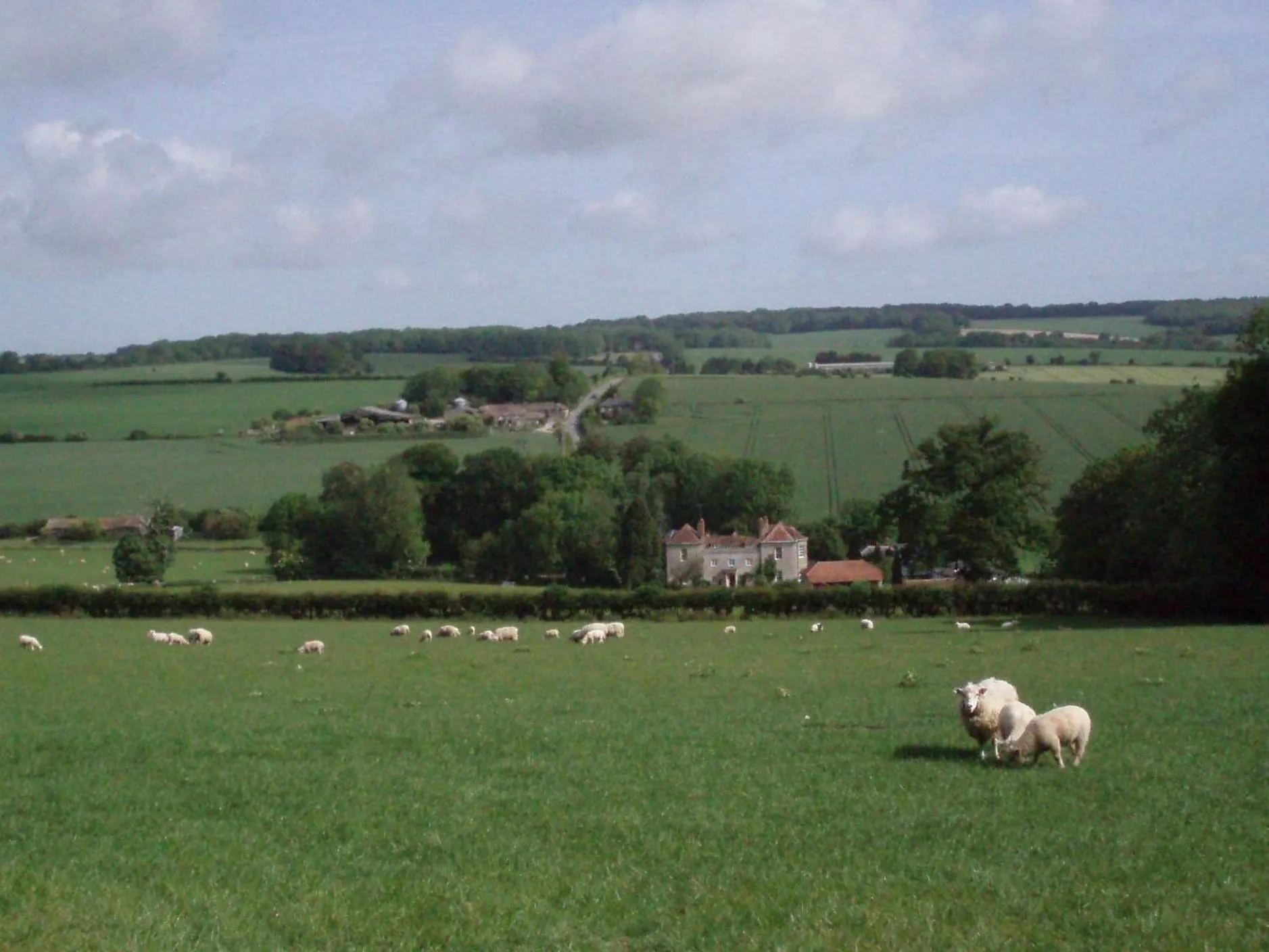 View (from property/room) in Marshwood Farm B&B and Shepherds Hut