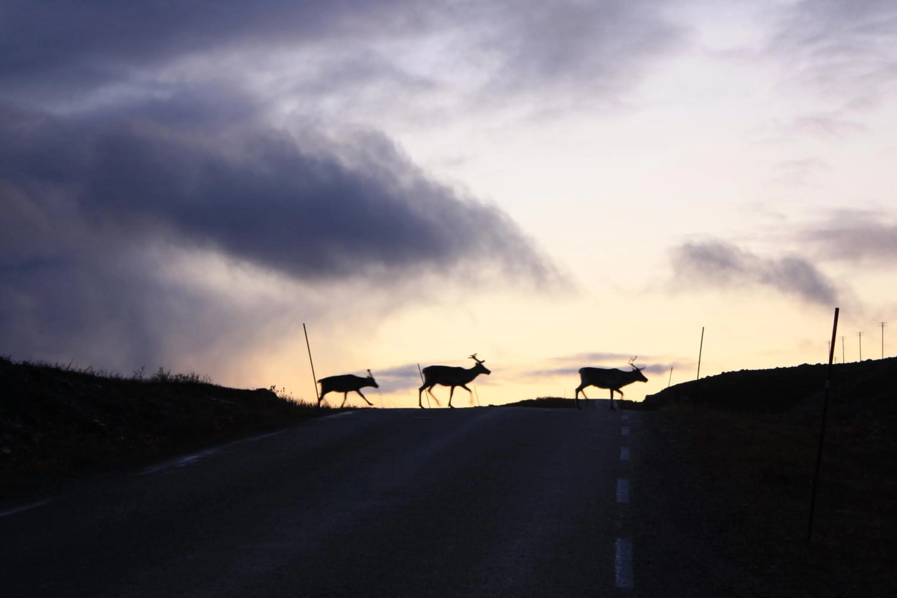 Spring in Adventure Camp Mehamn