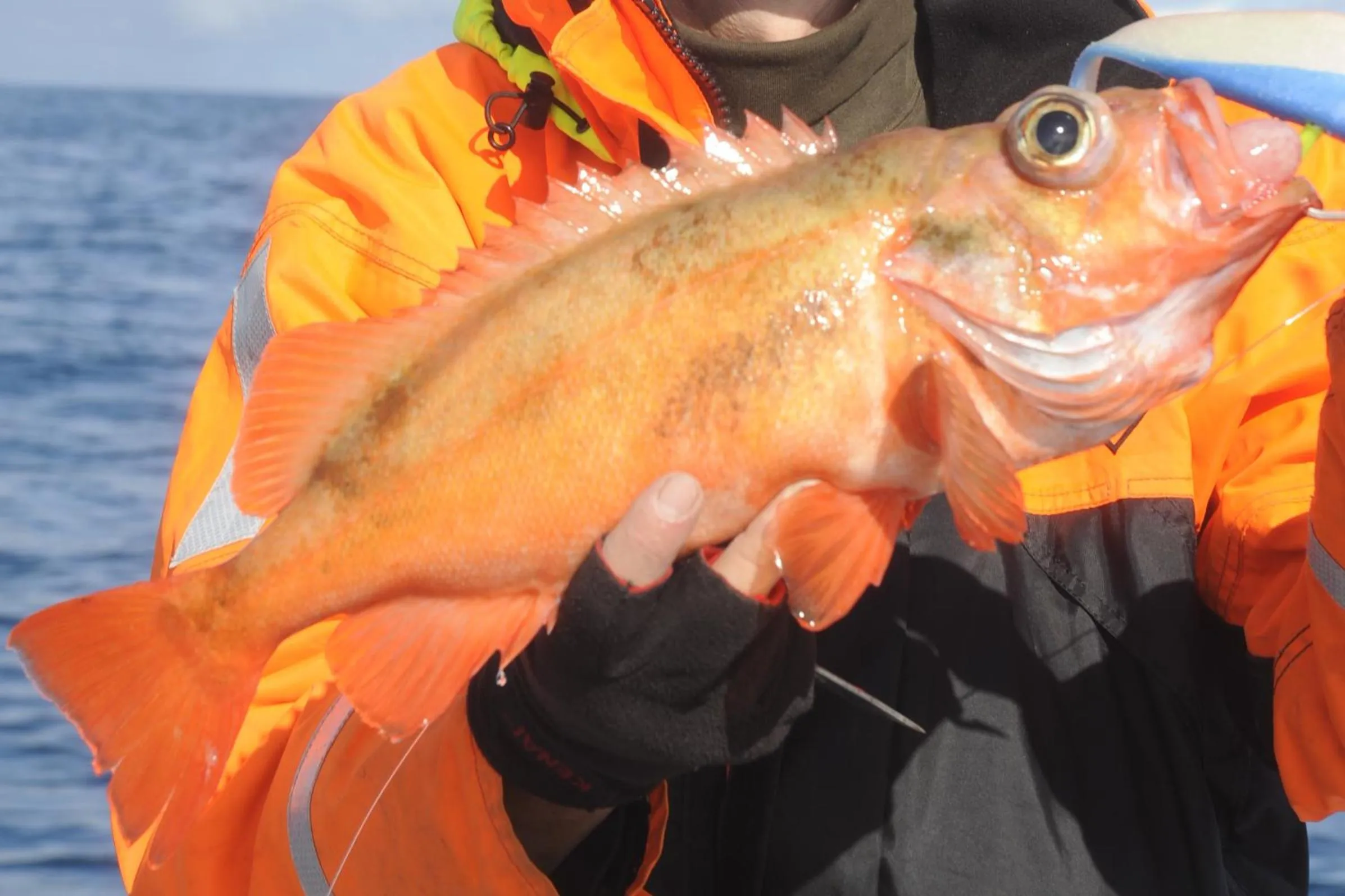 Fishing in Adventure Camp Mehamn