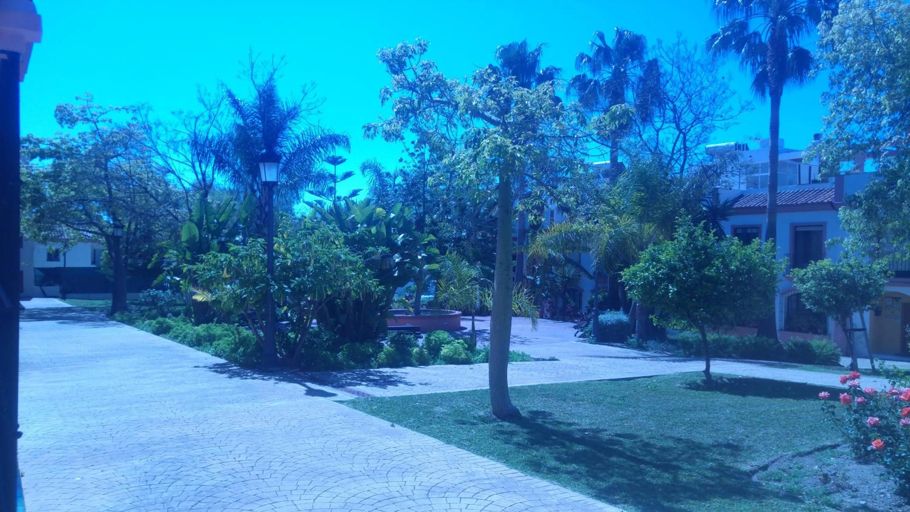 Garden in Hospederia V Centenario