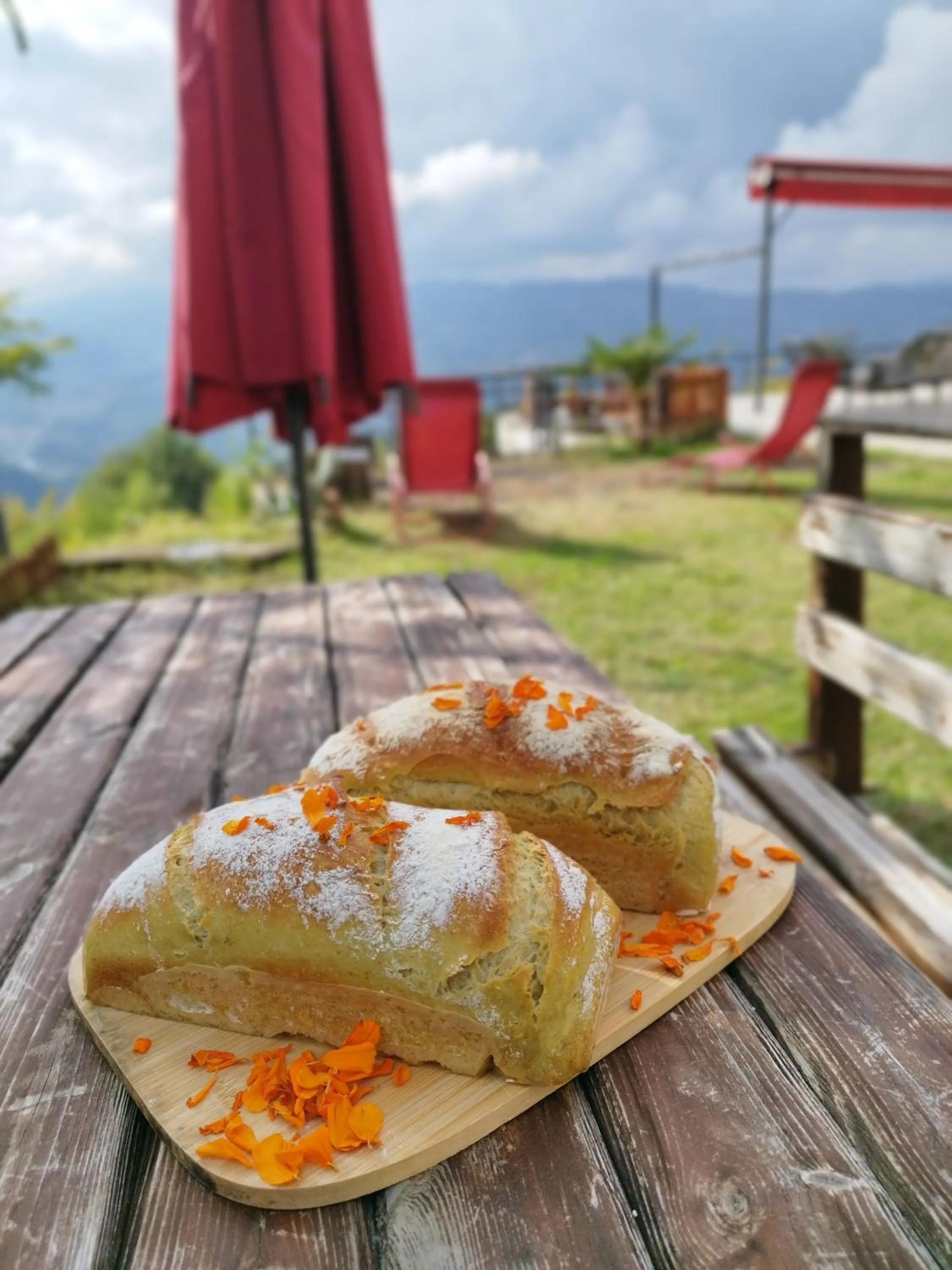 Hayat Oksijen Resort