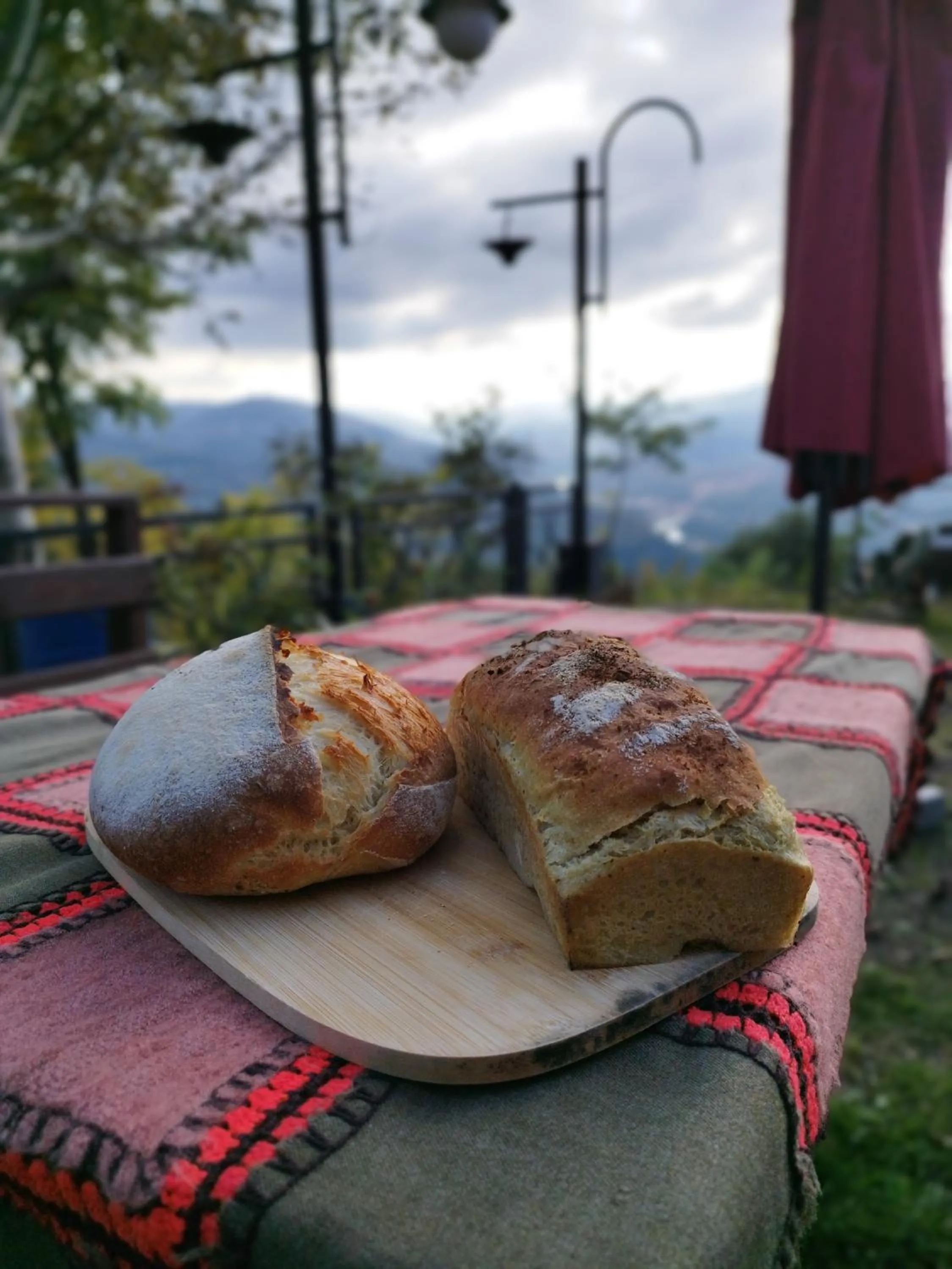 Hayat Oksijen Resort