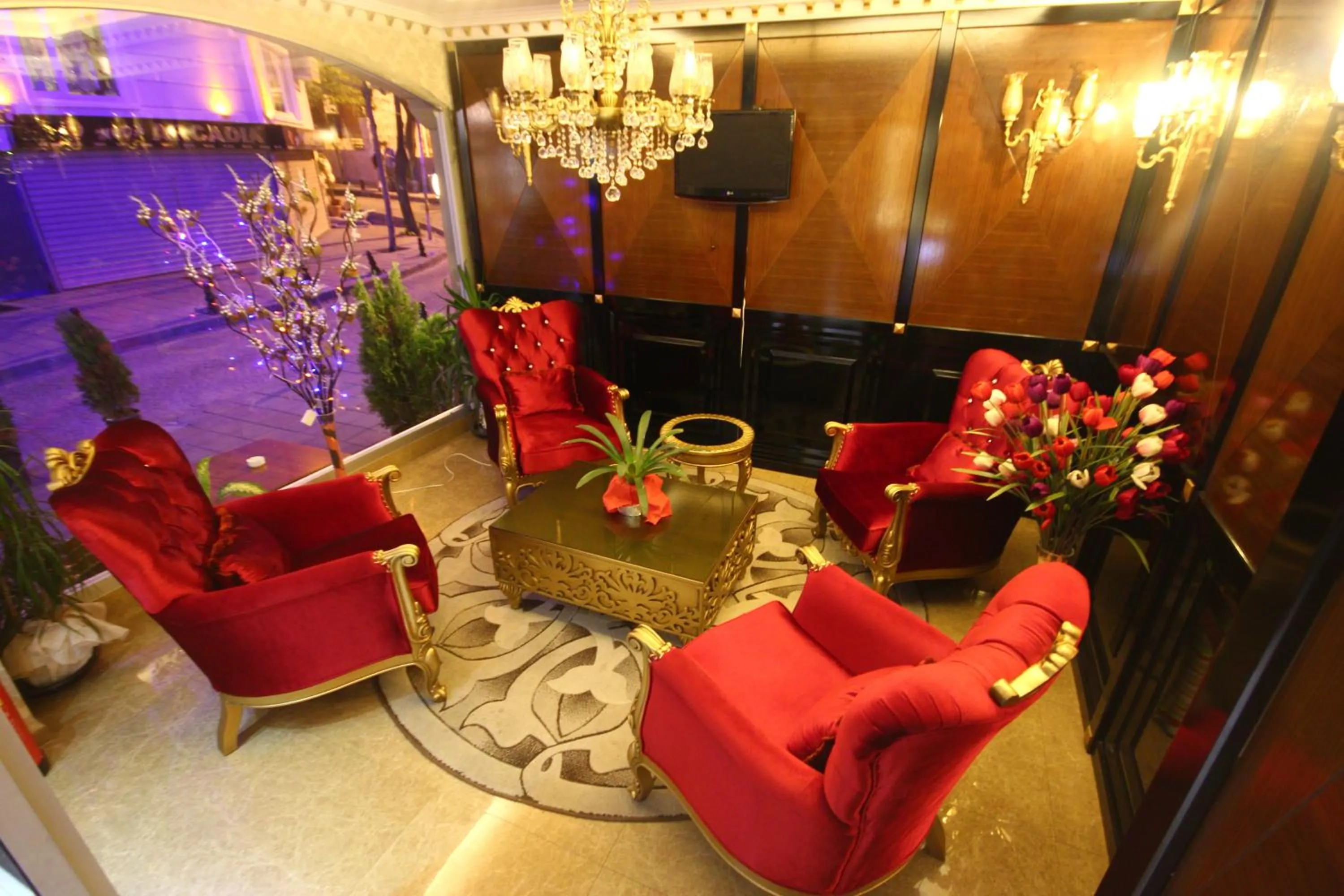 TV and multimedia in Salinas Istanbul Hotel