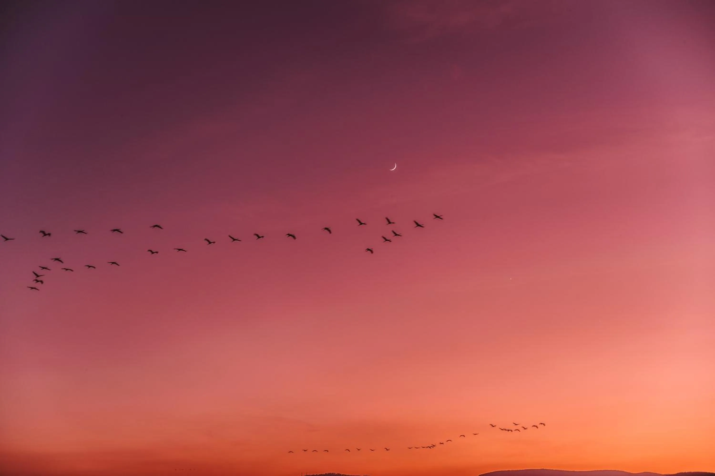 Natural landscape in Cnaan Village Boutique Hotel & Spa