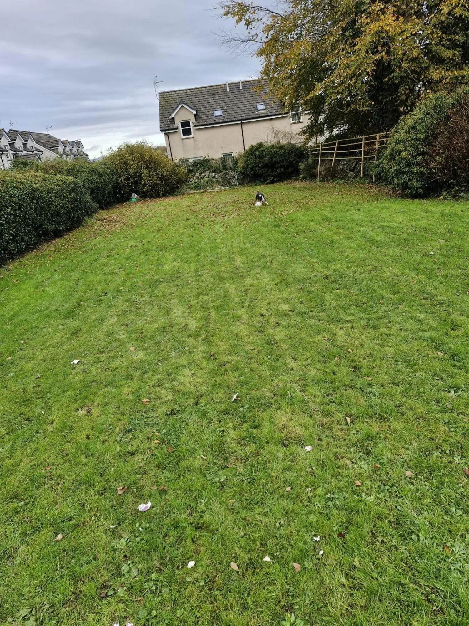 The Craighlaw Hideaway A Peaceful Village Escape 2 Bedroom Apartment with Garden