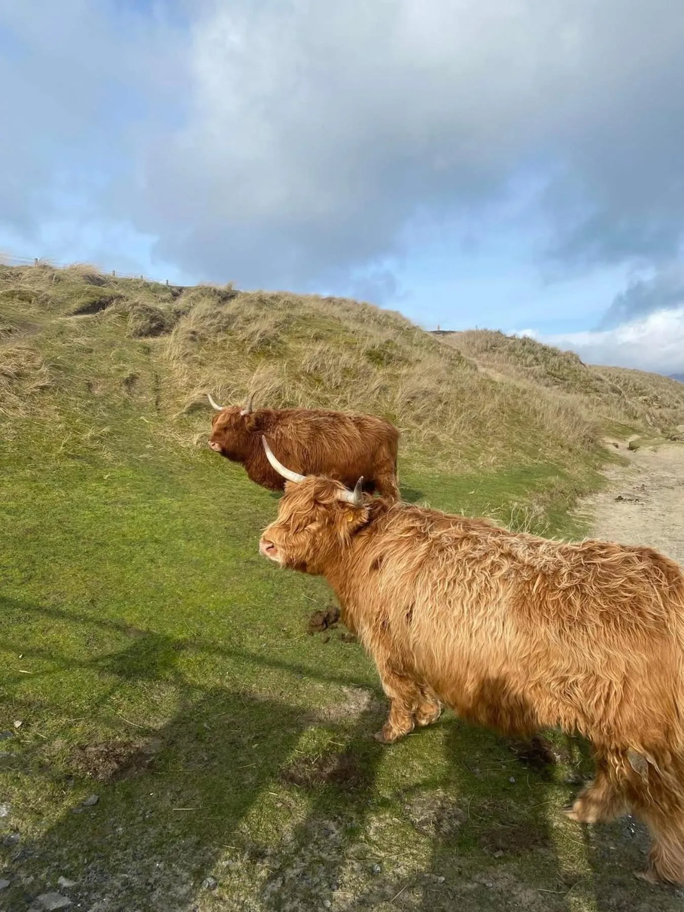 Craighlaw Vintage Guest Rooms