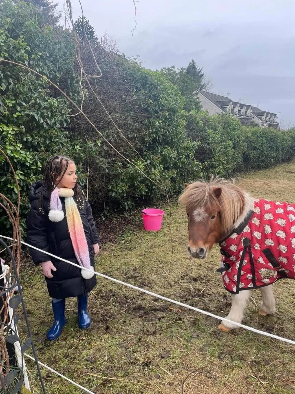 Craighlaw Historic 2 Bedroom Apartment with Garden