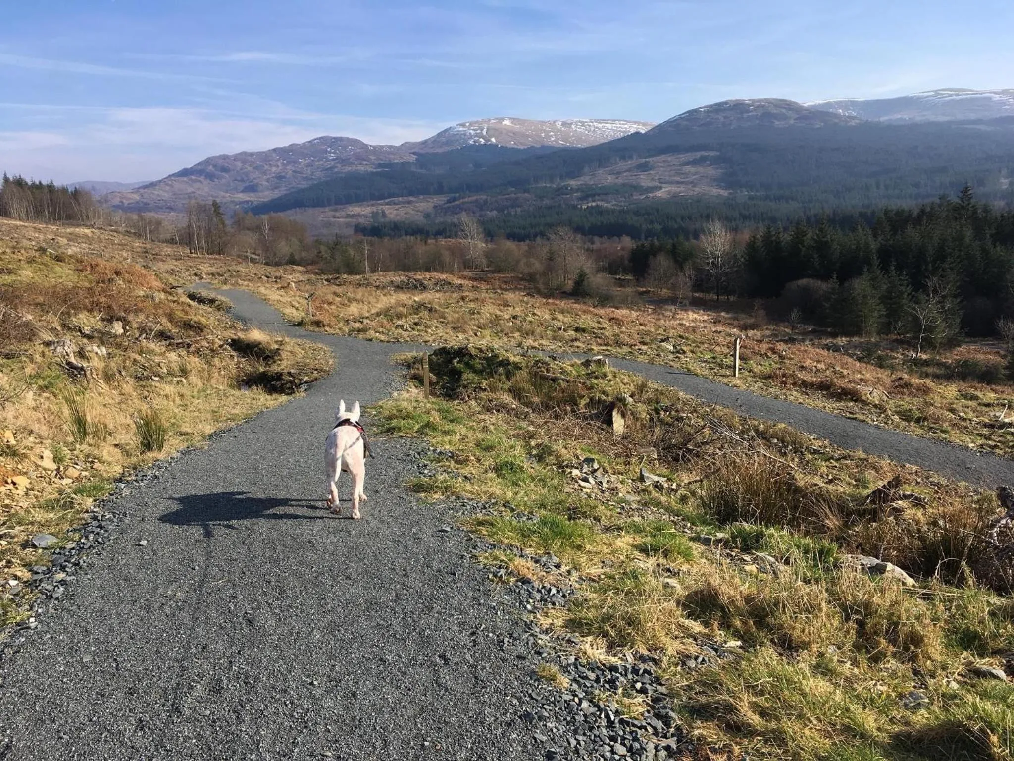 Craighlaw Vintage Guest Rooms