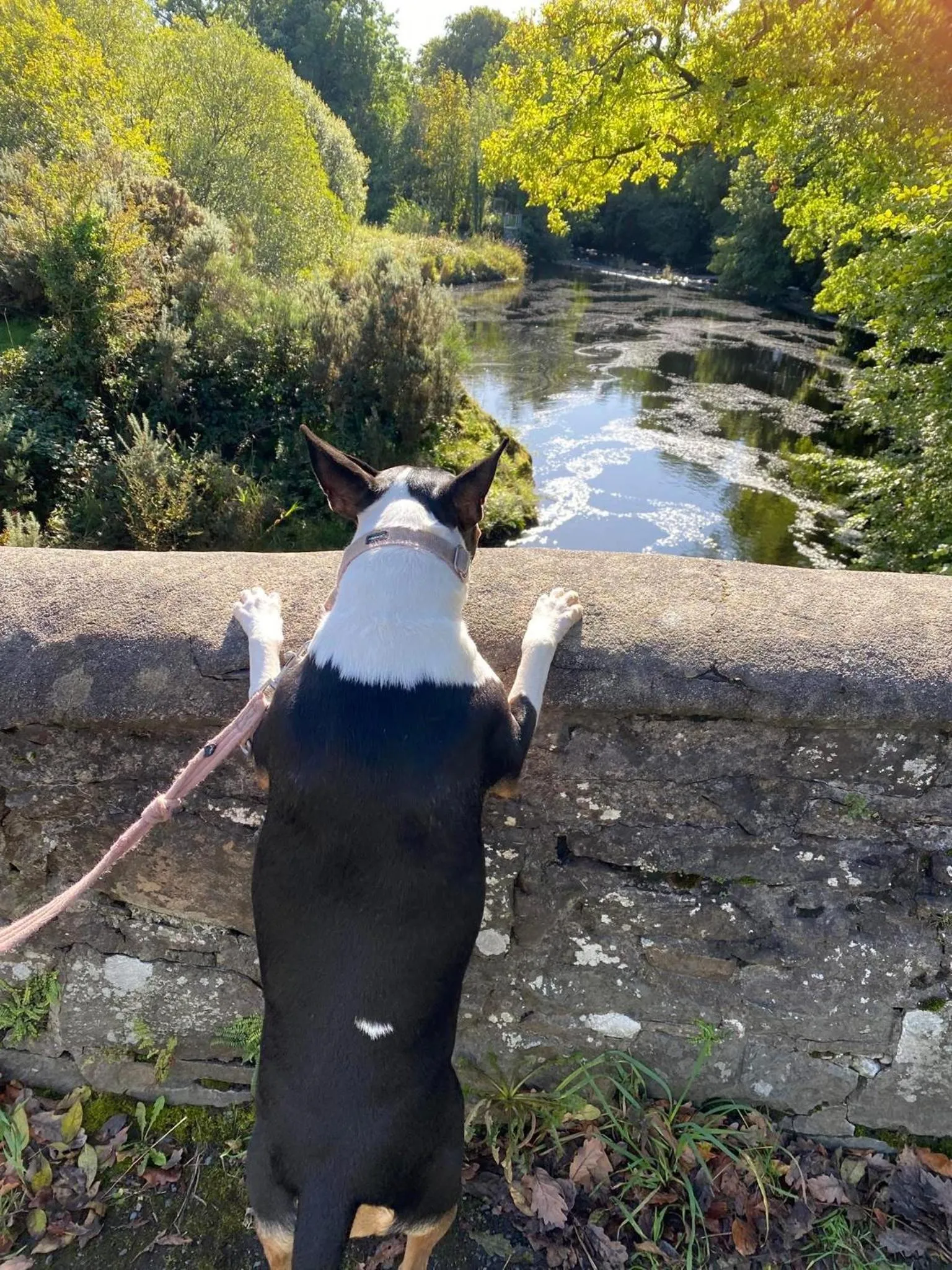 Craighlaw Historic 2 Bedroom Apartment with Garden