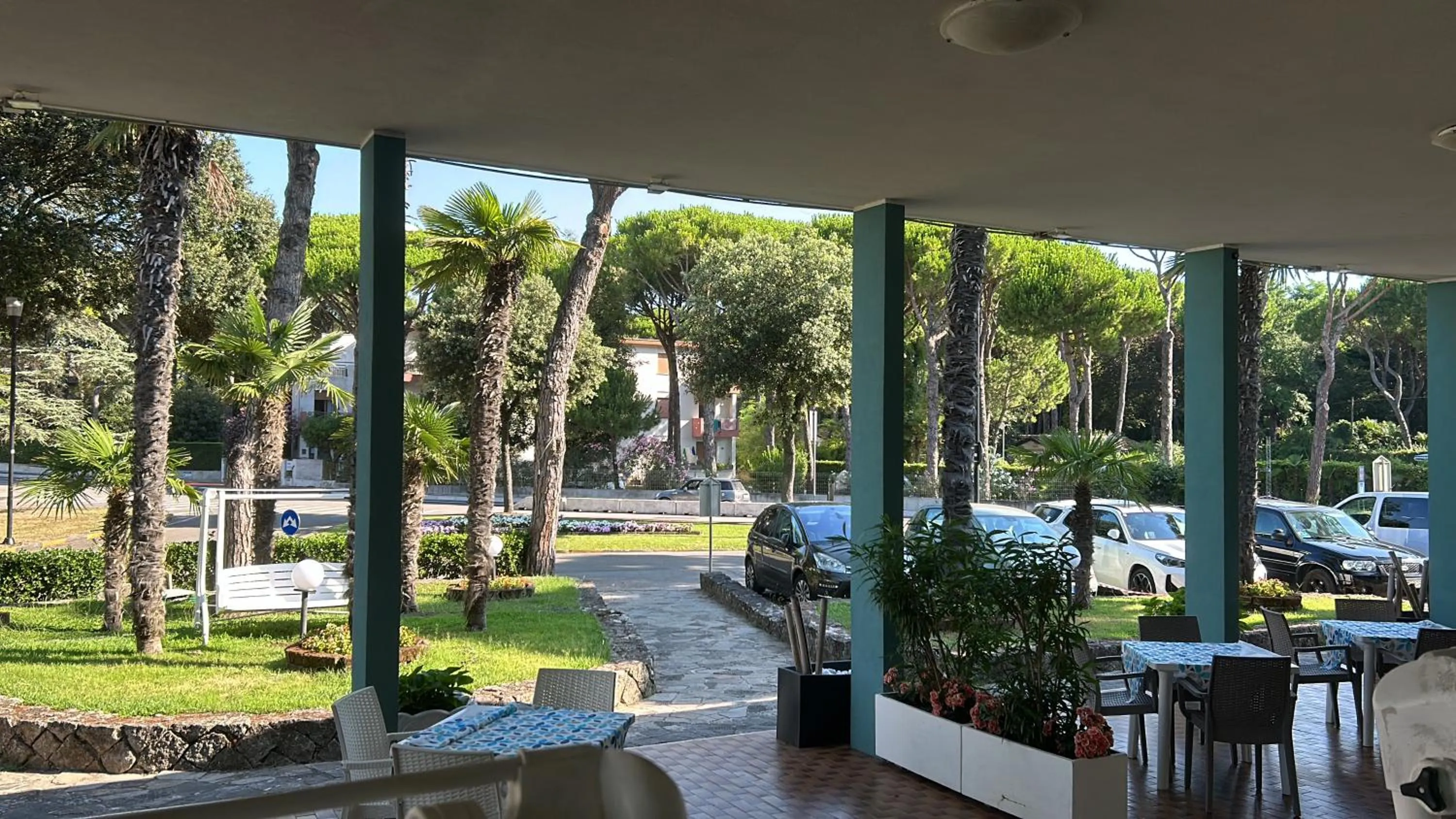 Garden in Hotel Palm Beach