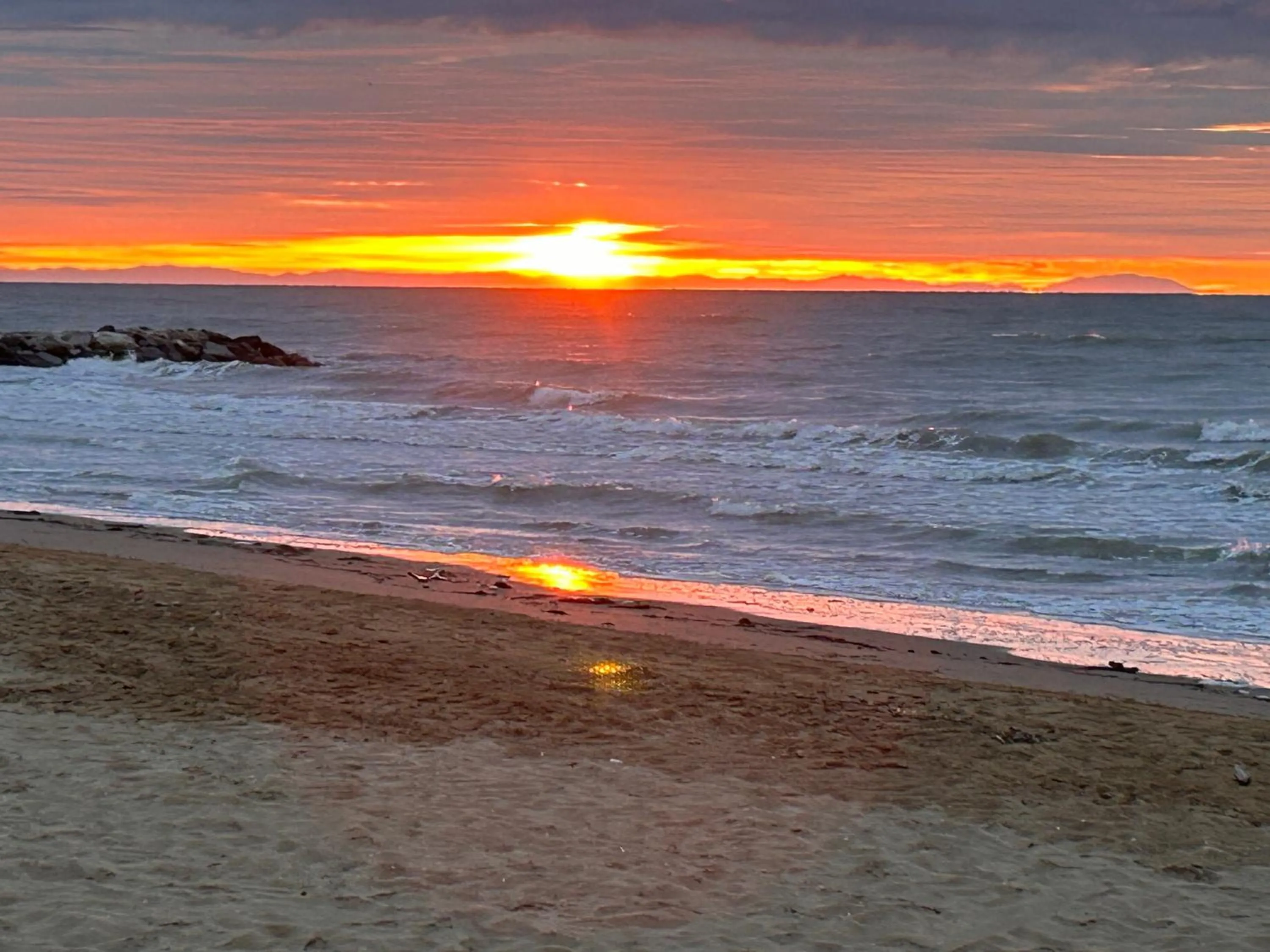 Beach in Hotel Palm Beach