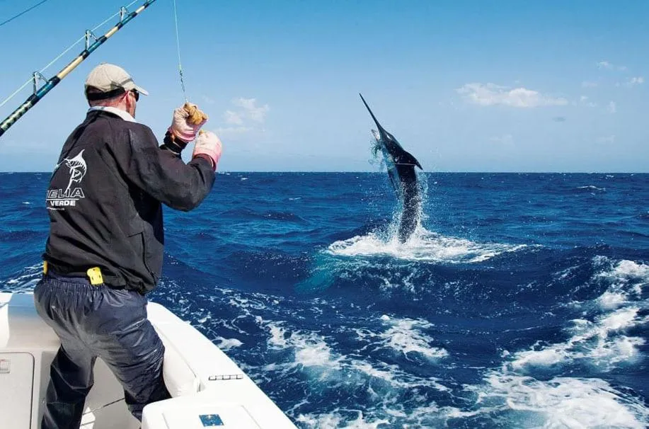 Fishing in Blue Marlin Hotel